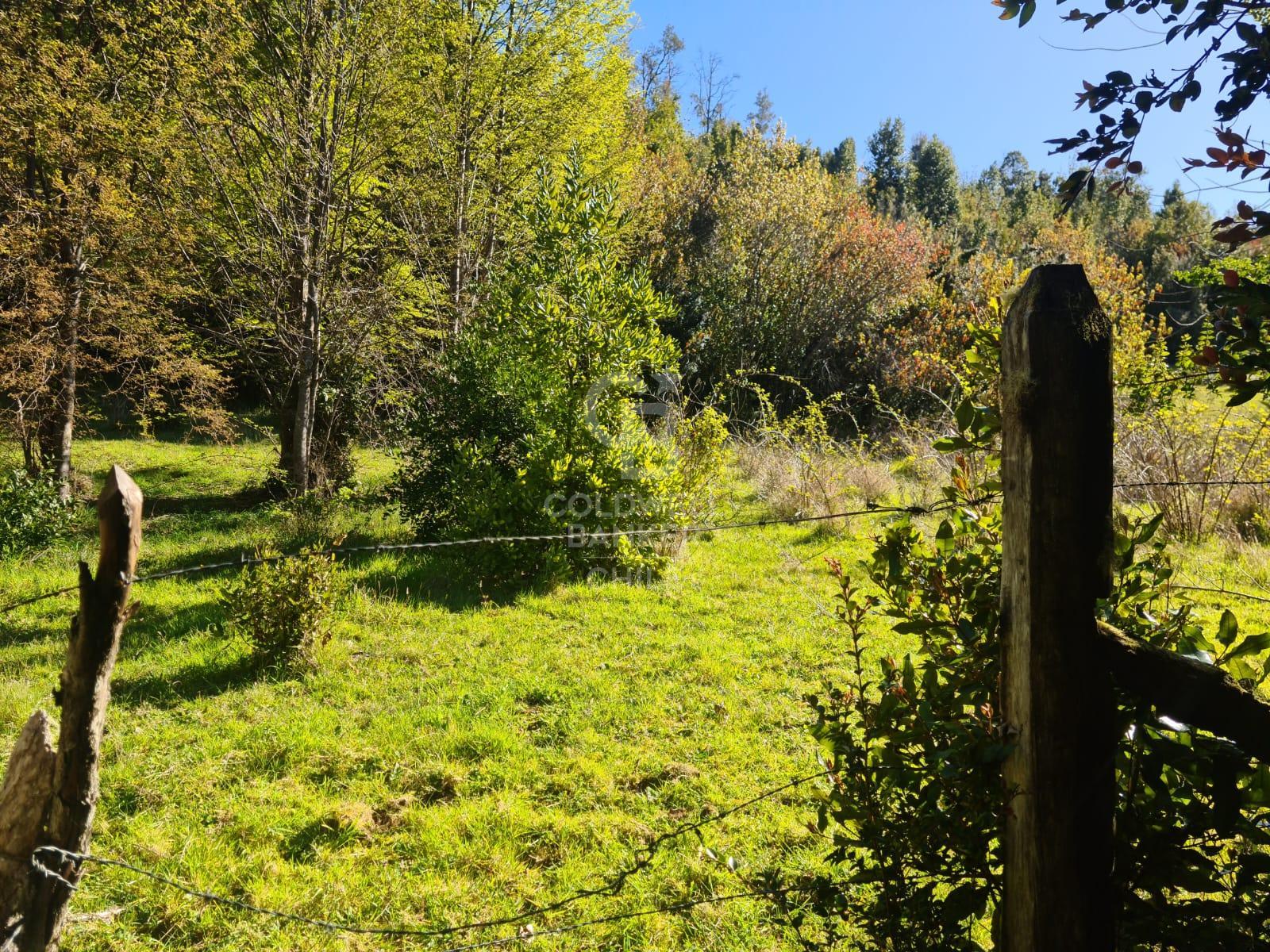 Fresia, Chile, ,Residential,For Sale,1913252