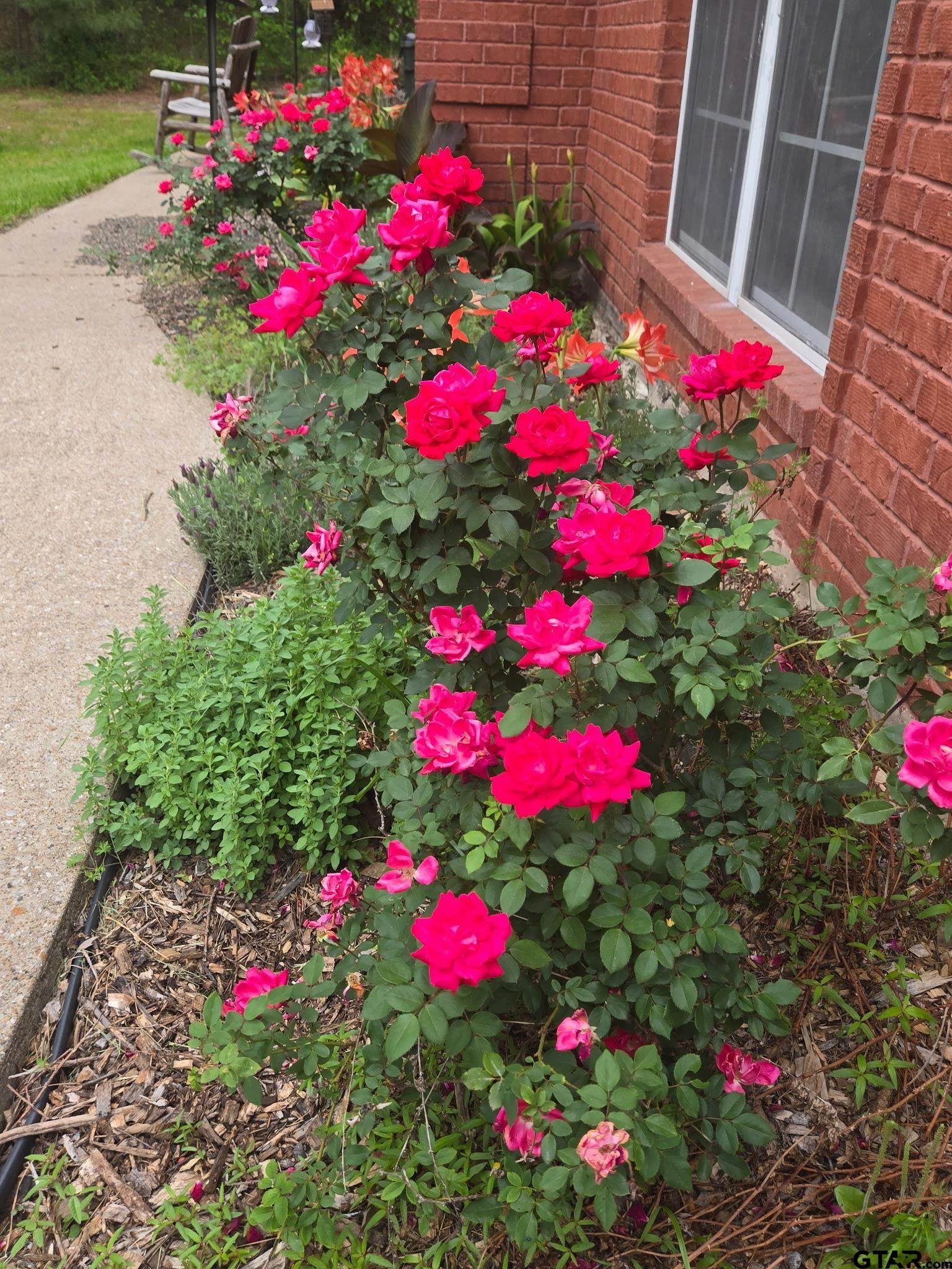 Tyler, Texas, 75704, United States, 3 Bedrooms Bedrooms, ,2 BathroomsBathrooms,Residential,For Sale,1908675