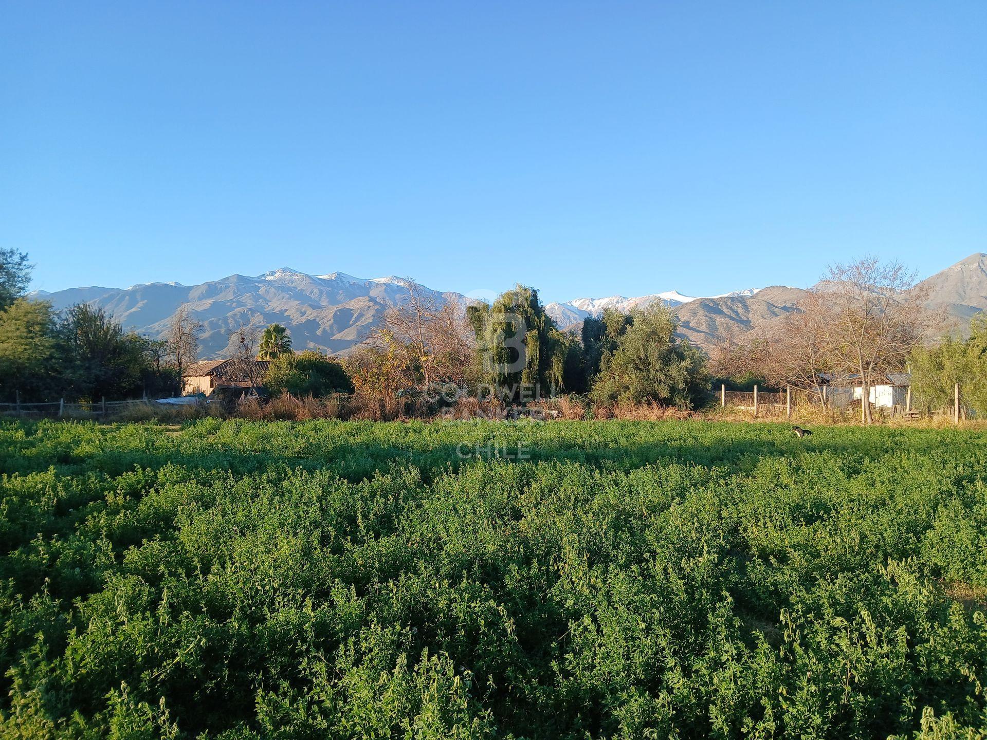 San Esteban, Chile, ,Land,For Sale,1926022