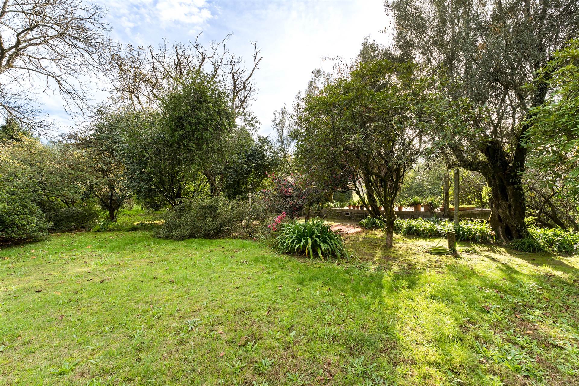  Farm, 6 bedrooms, for Sale - 物件實景