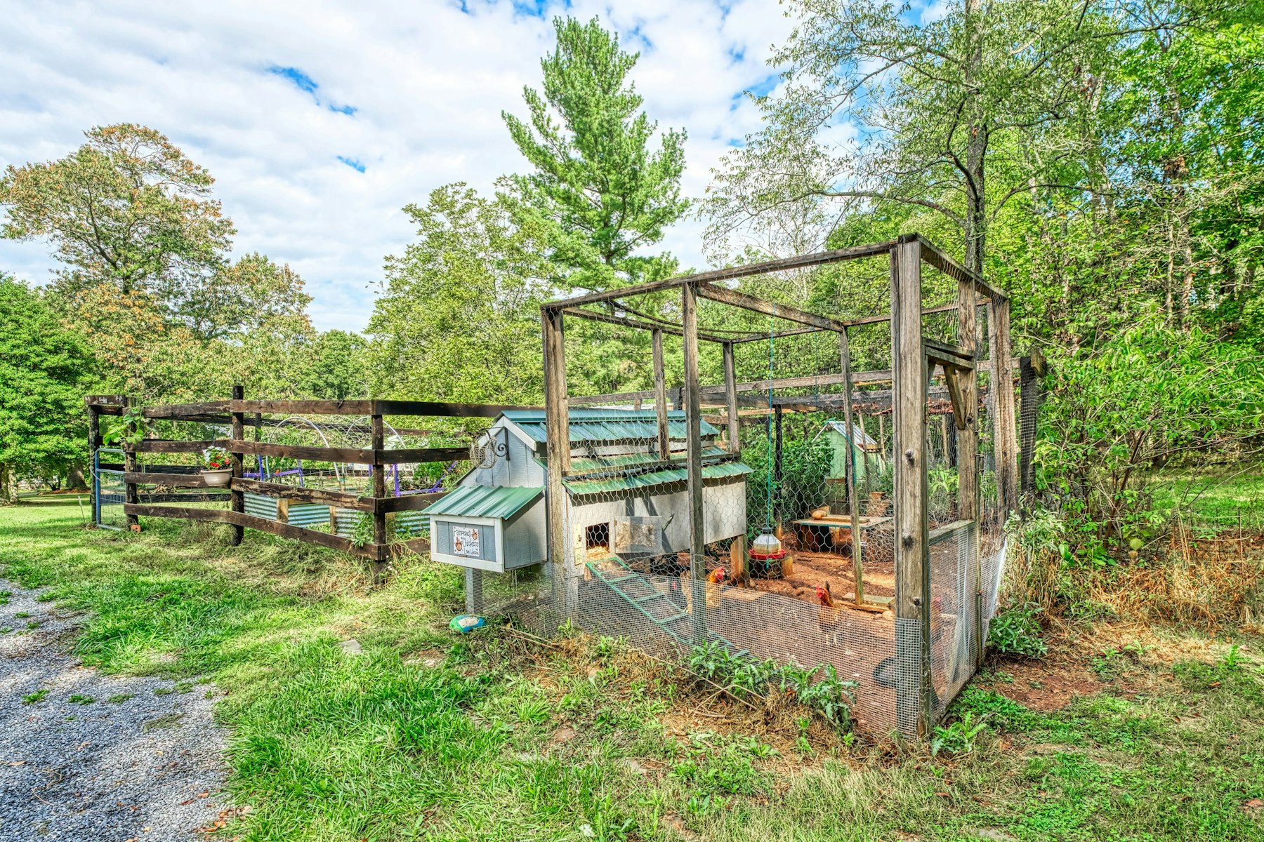  43470 Evans Pond Road, Leesburg, VA, 20176 - 物件實景