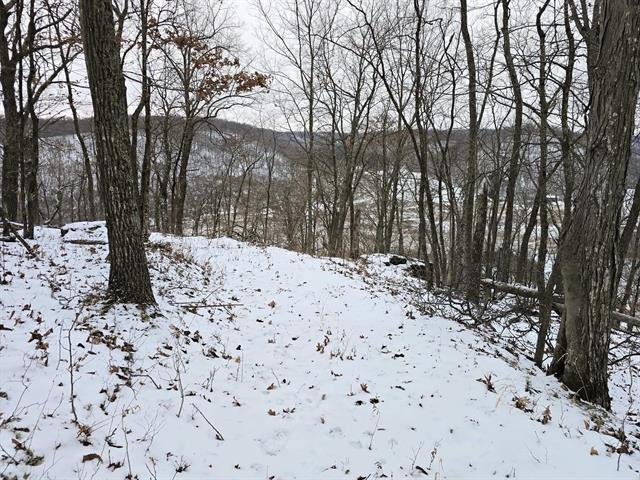 Gays Mills, Wisconsin, 54631, United States, 3 Bedrooms Bedrooms, ,3 BathroomsBathrooms,Residential,For Sale,2006070