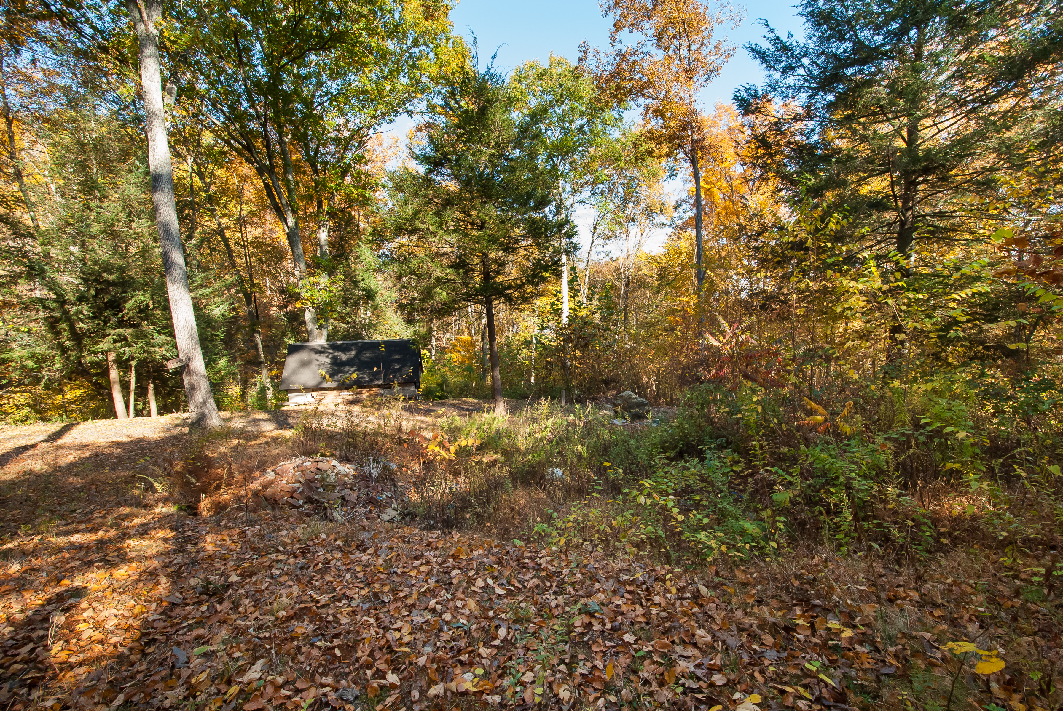  Nestled in the Hills of Southbury - 物件實景