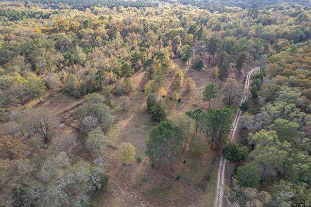 Winona, Texas, 75792, United States, 4 Bedrooms Bedrooms, ,3 BathroomsBathrooms,Residential,For Sale,1996404