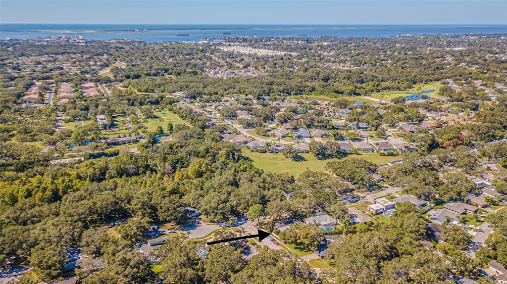 Palm Harbor, Florida, 34683, United States, 4 Bedrooms Bedrooms, ,3 BathroomsBathrooms,Residential,For Sale,1974920