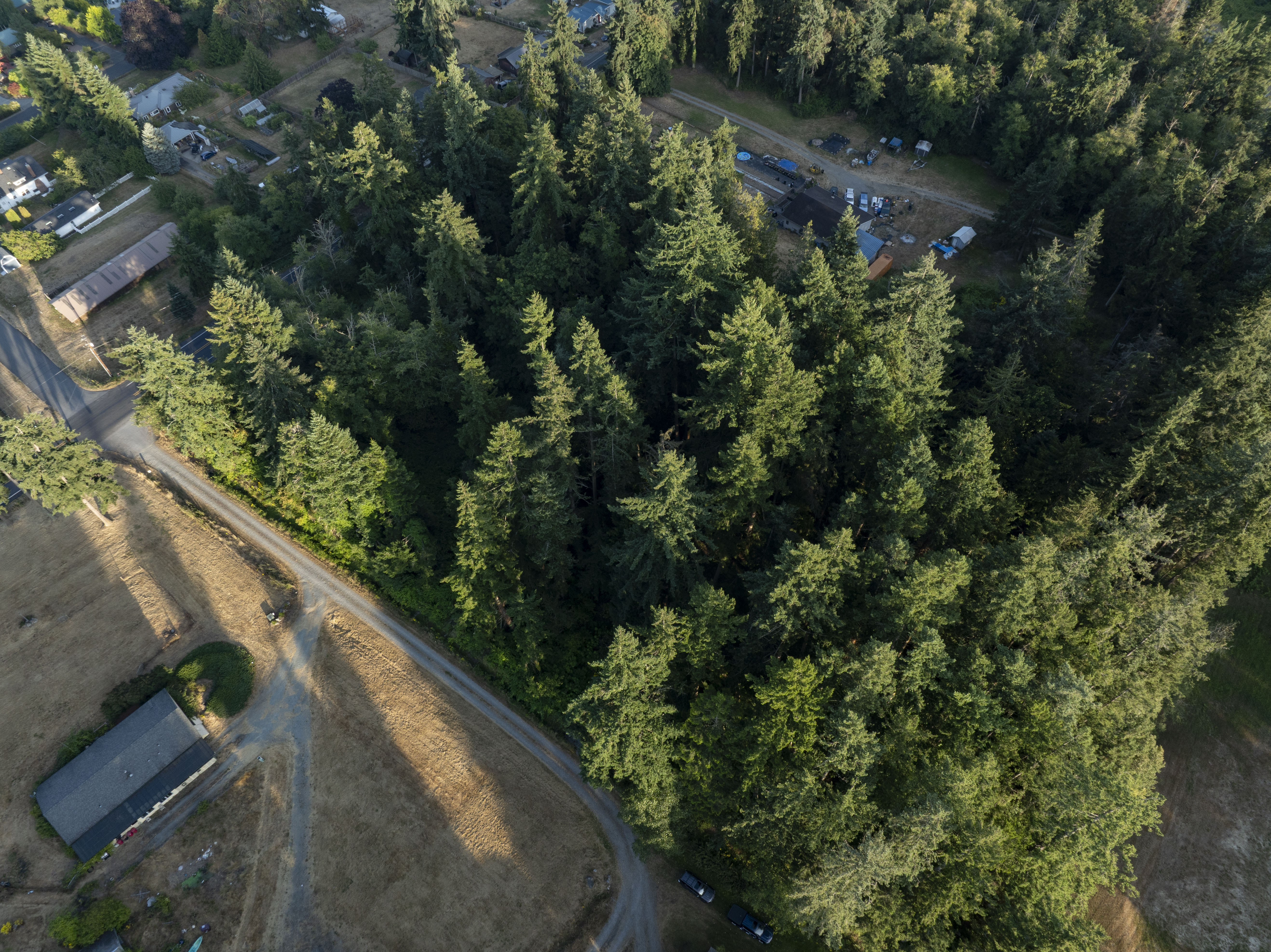  Perfect Whidbey Island Location - 物件實景