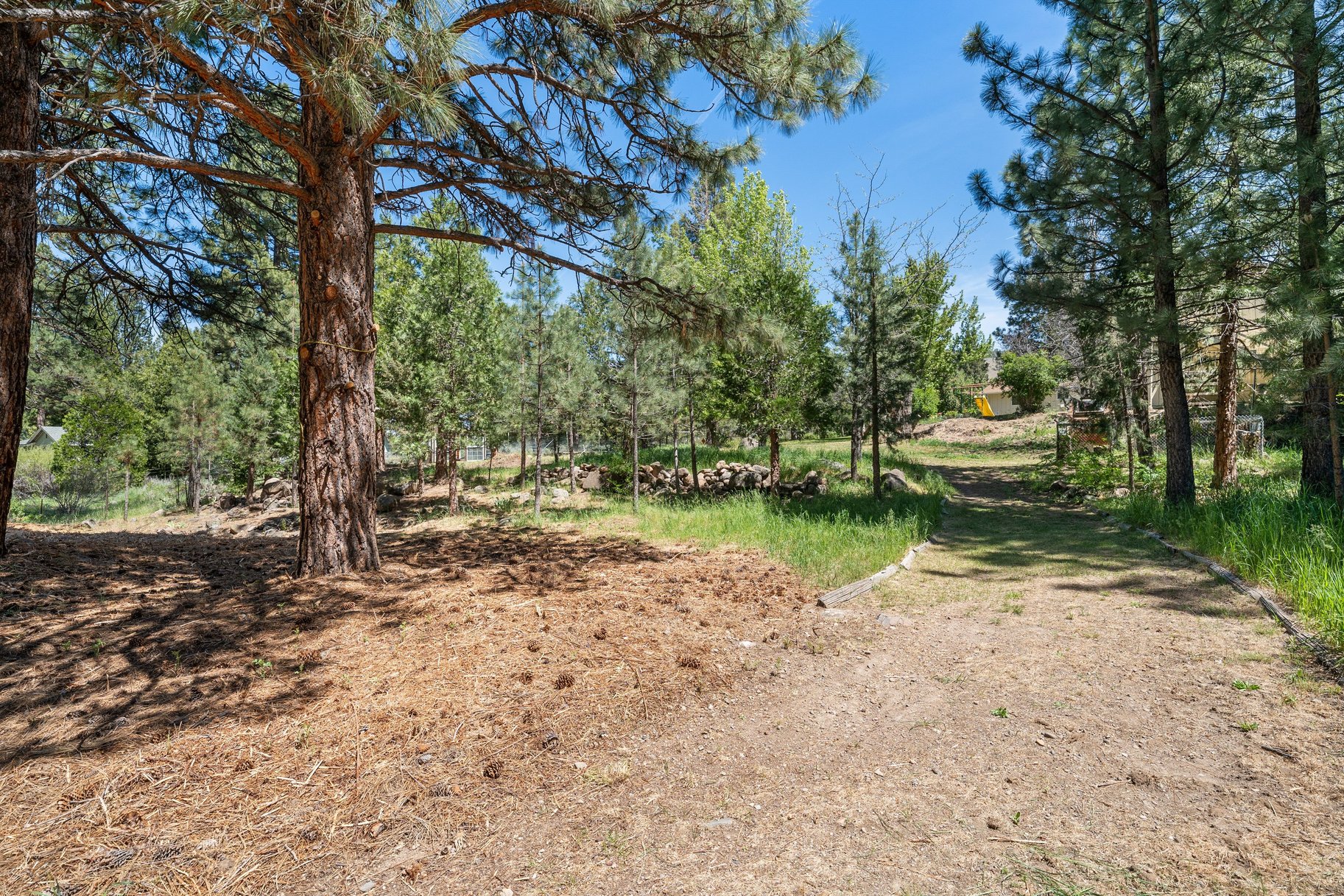 Sweet home on 1.24 acres in Sierra Brooks - 物件實景