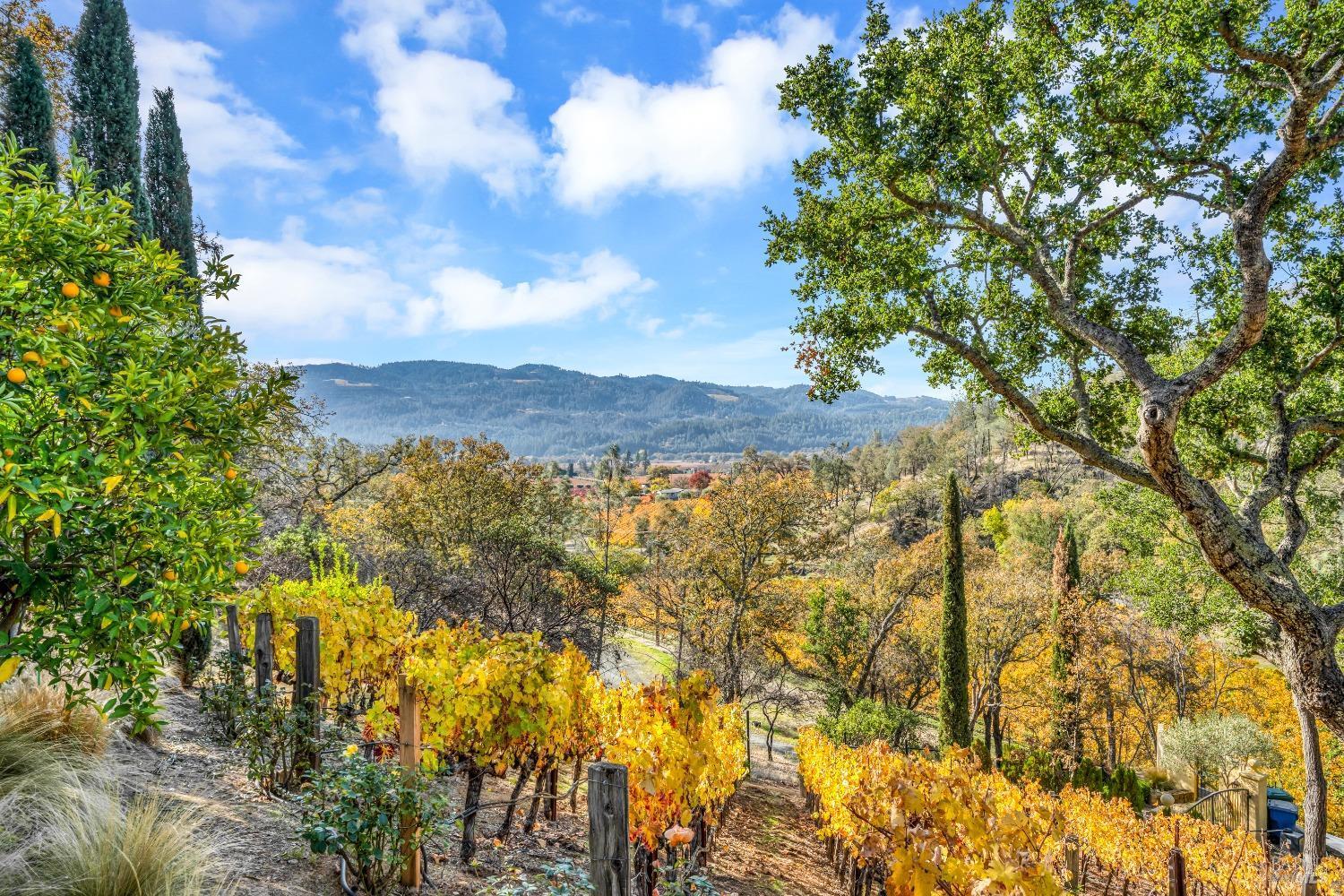 Calistoga, California, 94515, United States, 3 Bedrooms Bedrooms, ,5 BathroomsBathrooms,Residential,For Sale,1738551