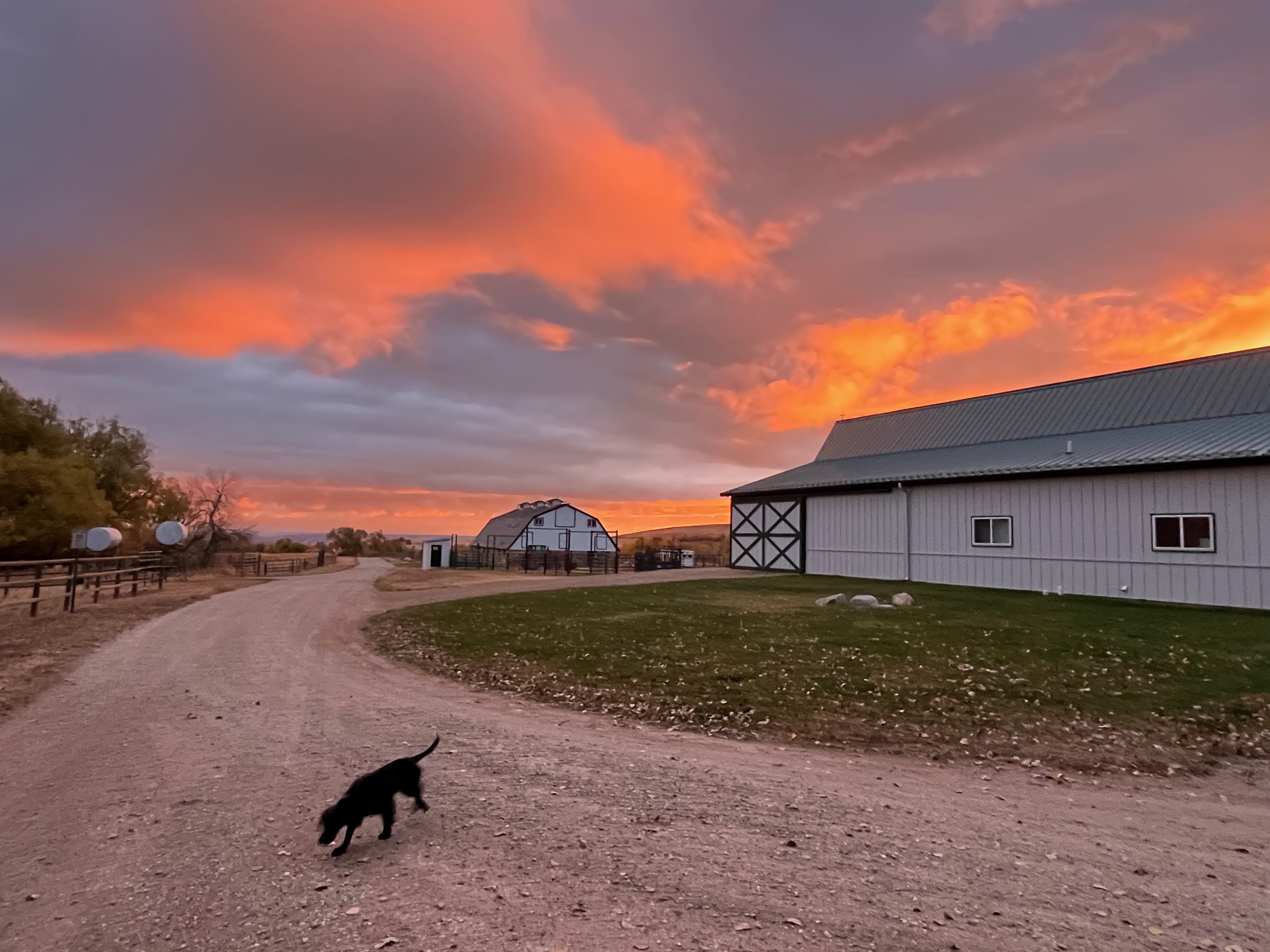 Big Horn, Wyoming, 82833, United States, ,Residential,For Sale,1887054