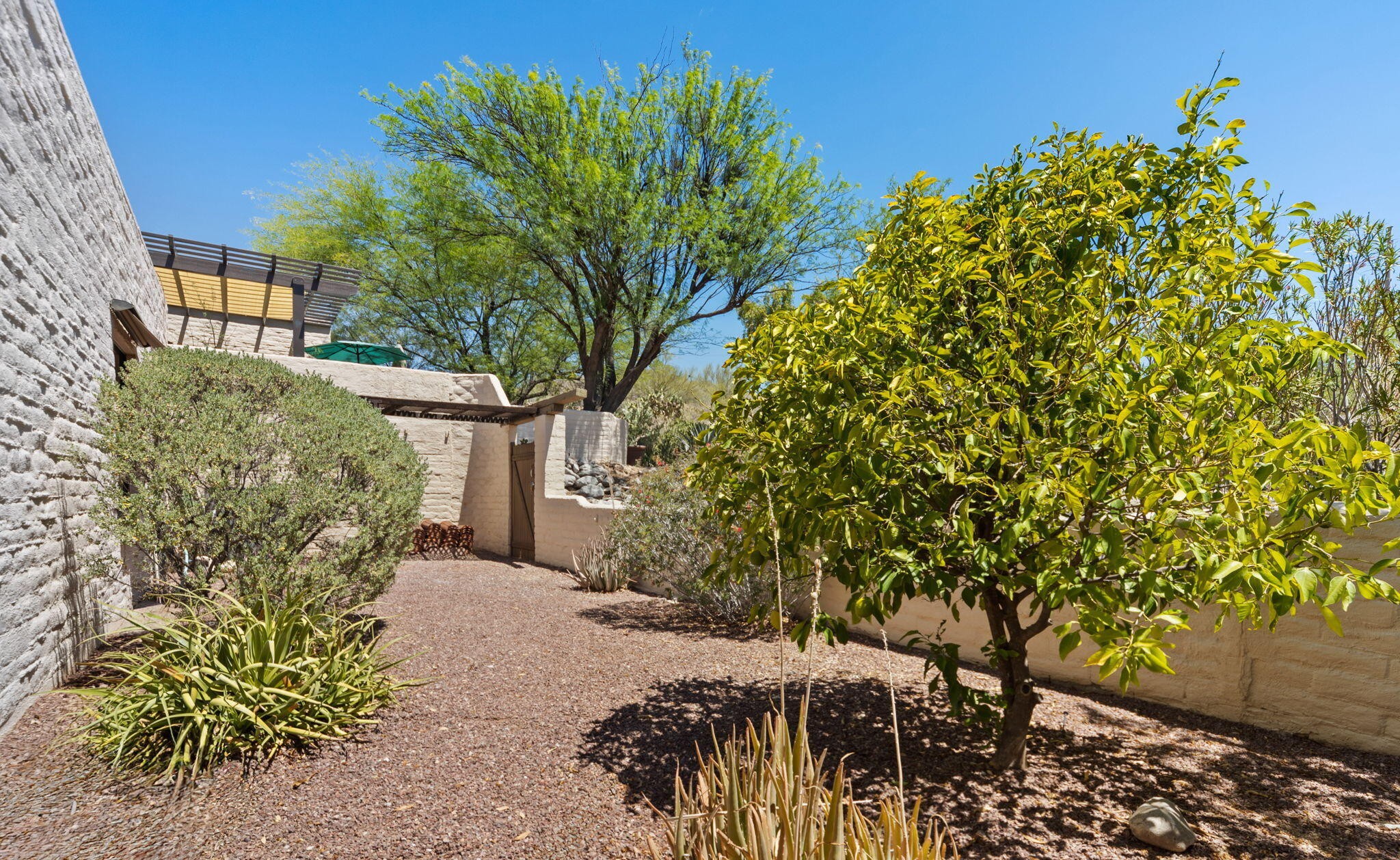  5406 N Camino de las Brisas, Tucson, AZ 85750 - 物件實景