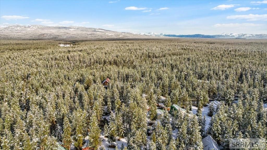 ISLAND PARK, Idaho, 83429, United States, 2 Bedrooms Bedrooms, ,2 BathroomsBathrooms,Residential,For Sale,1979028