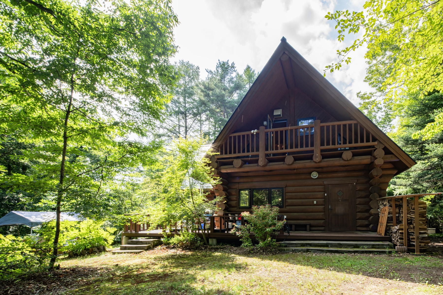  Oiwake Douglas fir Lodge - 物件實景