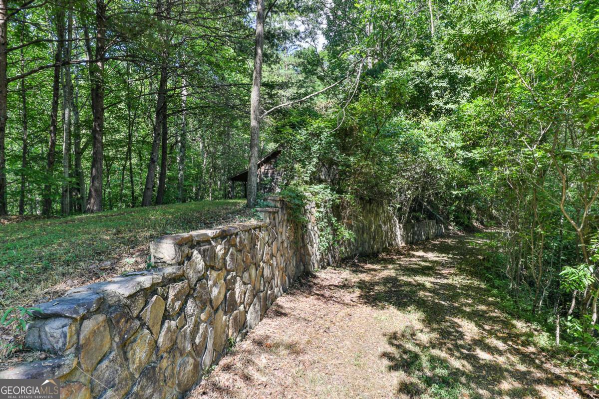 Cherry Log, Georgia, 30522, United States, ,Land,For Sale,1859131