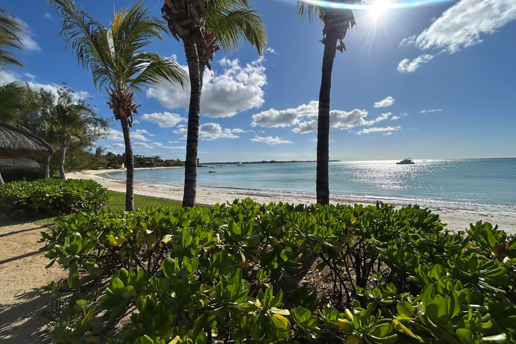  Seafront Elegance - 物件實景