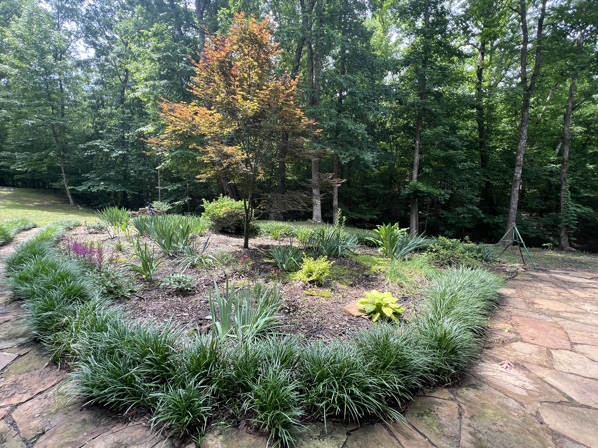 Mena, Arkansas, 71953, United States, 3 Bedrooms Bedrooms, ,3 BathroomsBathrooms,Residential,For Sale,1979119