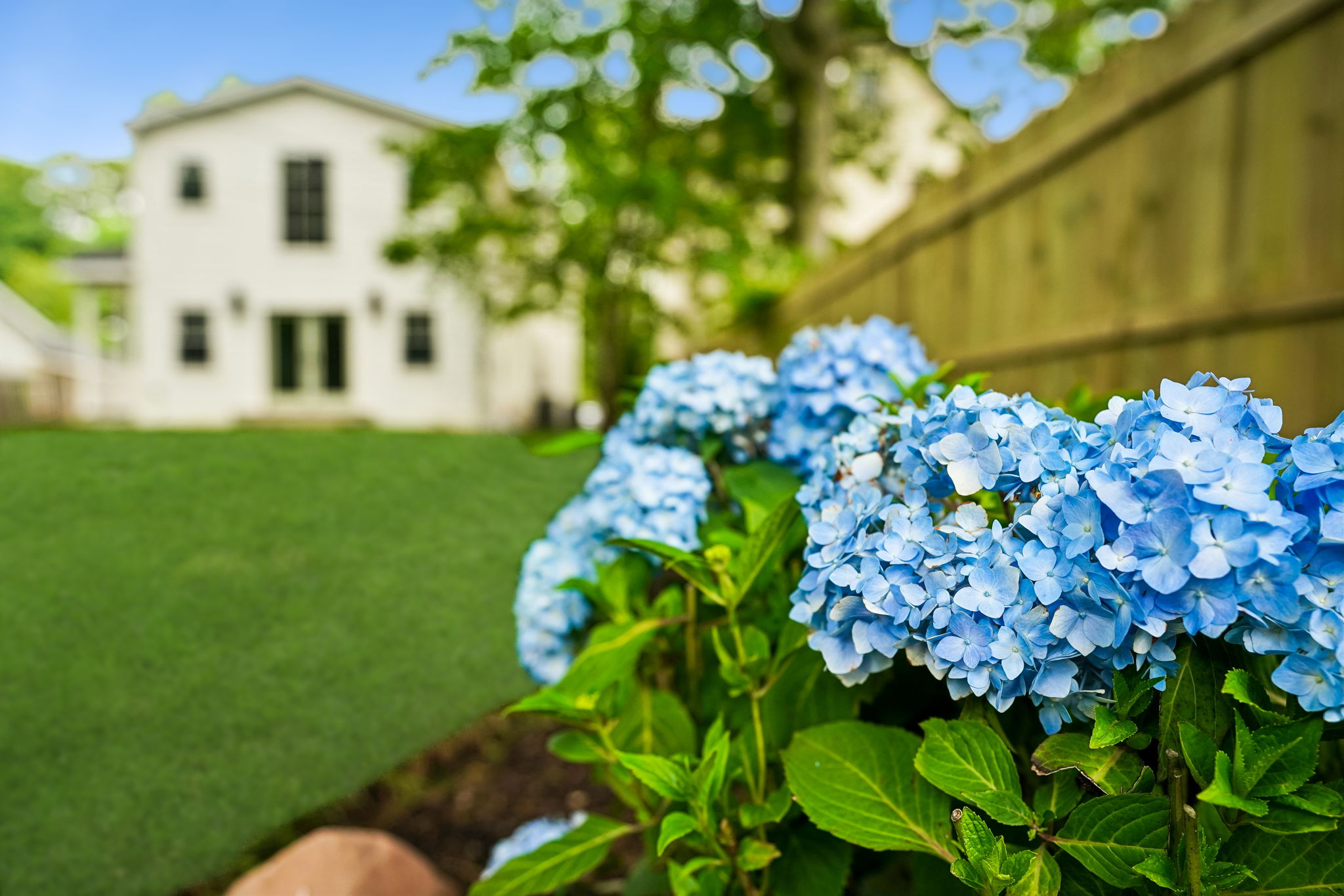  146 Sherman Avenue, Glen Ridge, NJ 07028 - 物件實景