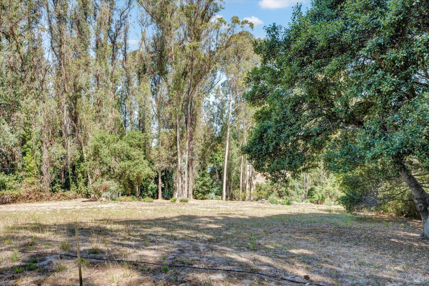 Sebastopol, California, 95472, United States, 2 Bedrooms Bedrooms, ,2 BathroomsBathrooms,Residential,For Sale,1913141