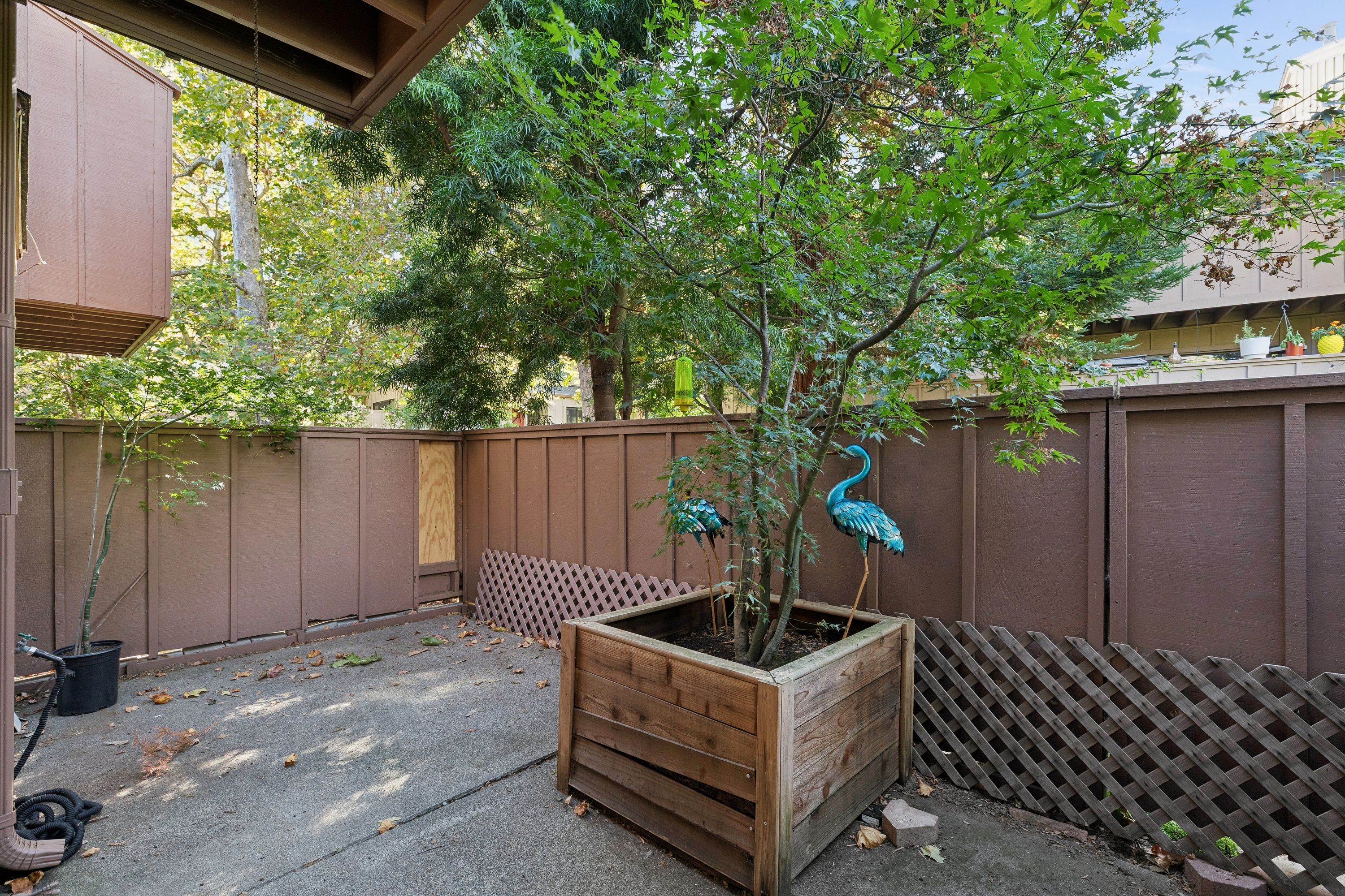  Pacheco Valley Townhome - 物件實景