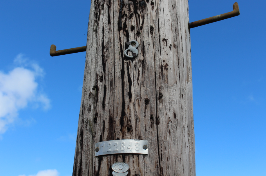 Keaau, Hawaii, 96749, United States, ,Land,For Sale,1977941