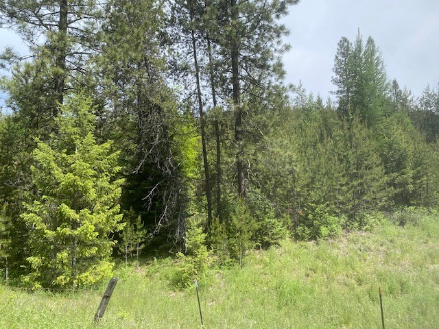 Priest River, Idaho, 83856, United States, ,Land,For Sale,2006127