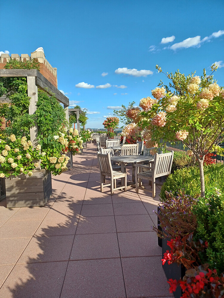 New York City, New York, 10025, United States, 2 Bedrooms Bedrooms, ,2 BathroomsBathrooms,Residential,For Sale,1901296