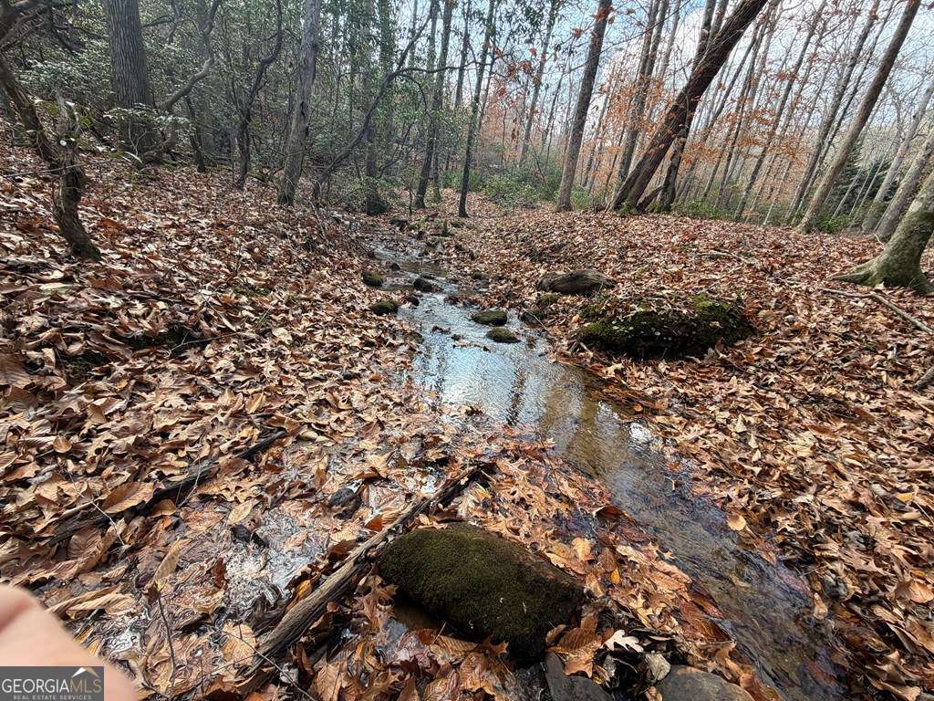 Blue Ridge, Georgia, 30513, United States, 3 Bedrooms Bedrooms, ,Residential,For Sale,1996242