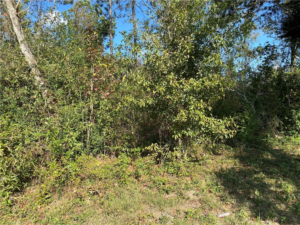 Lake Charles, Louisiana, 70601, United States, ,Residential,For Sale,1905615