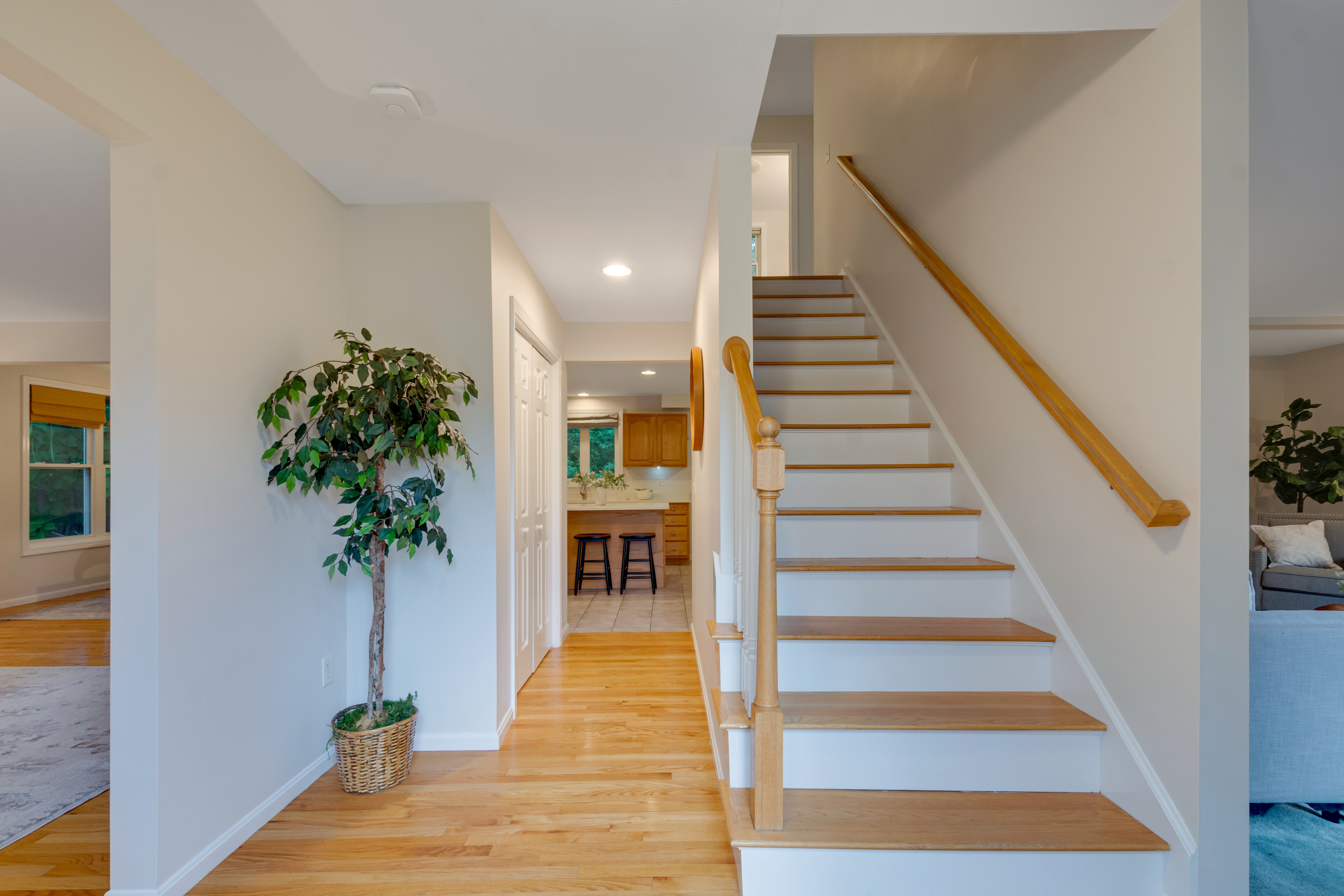  11 Williams Circle, Winchester, MA 01890 - 物件實景