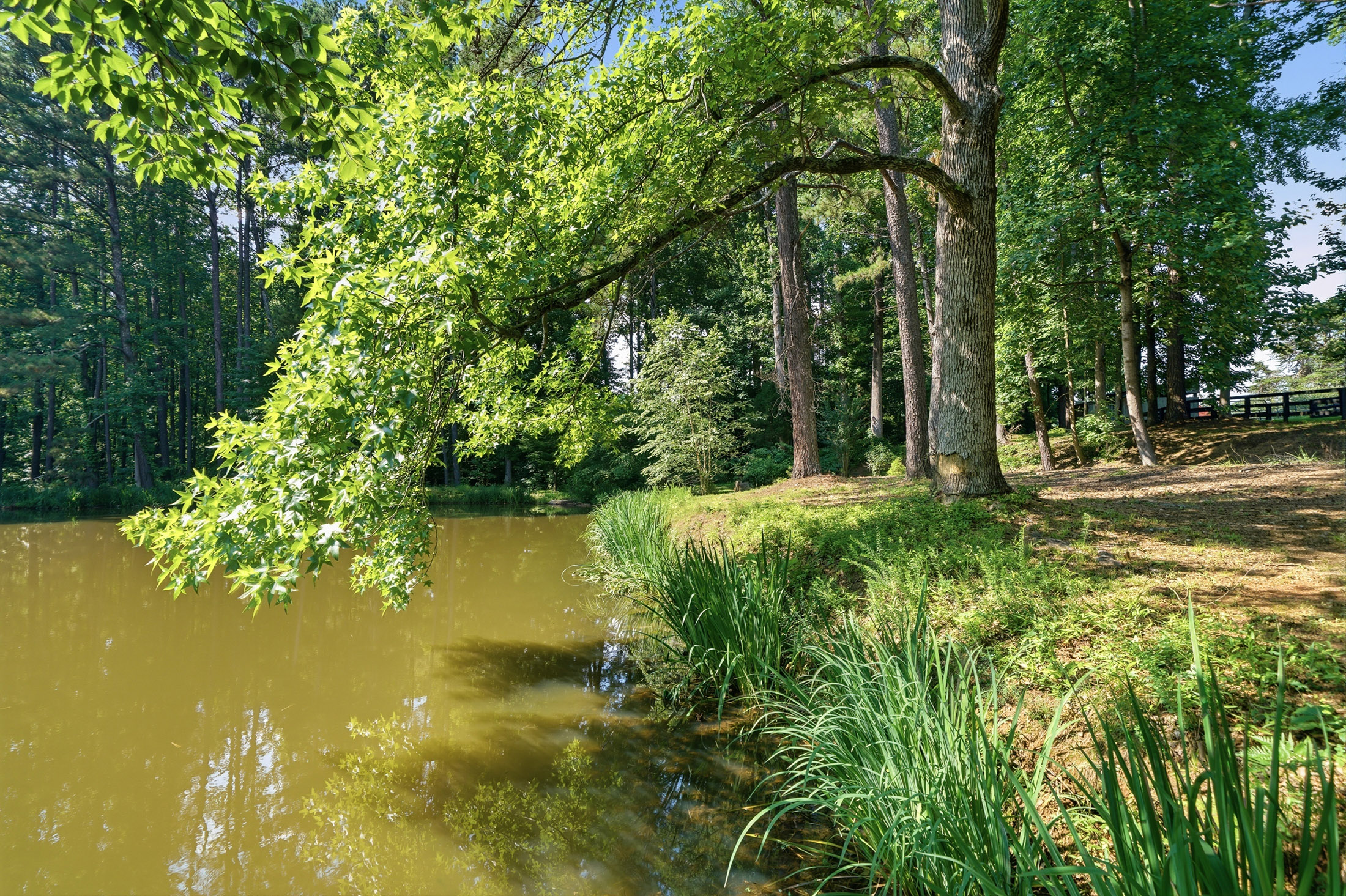  Exceptional Brick Ranch on 5+/- Picturesque Acres - 物件實景