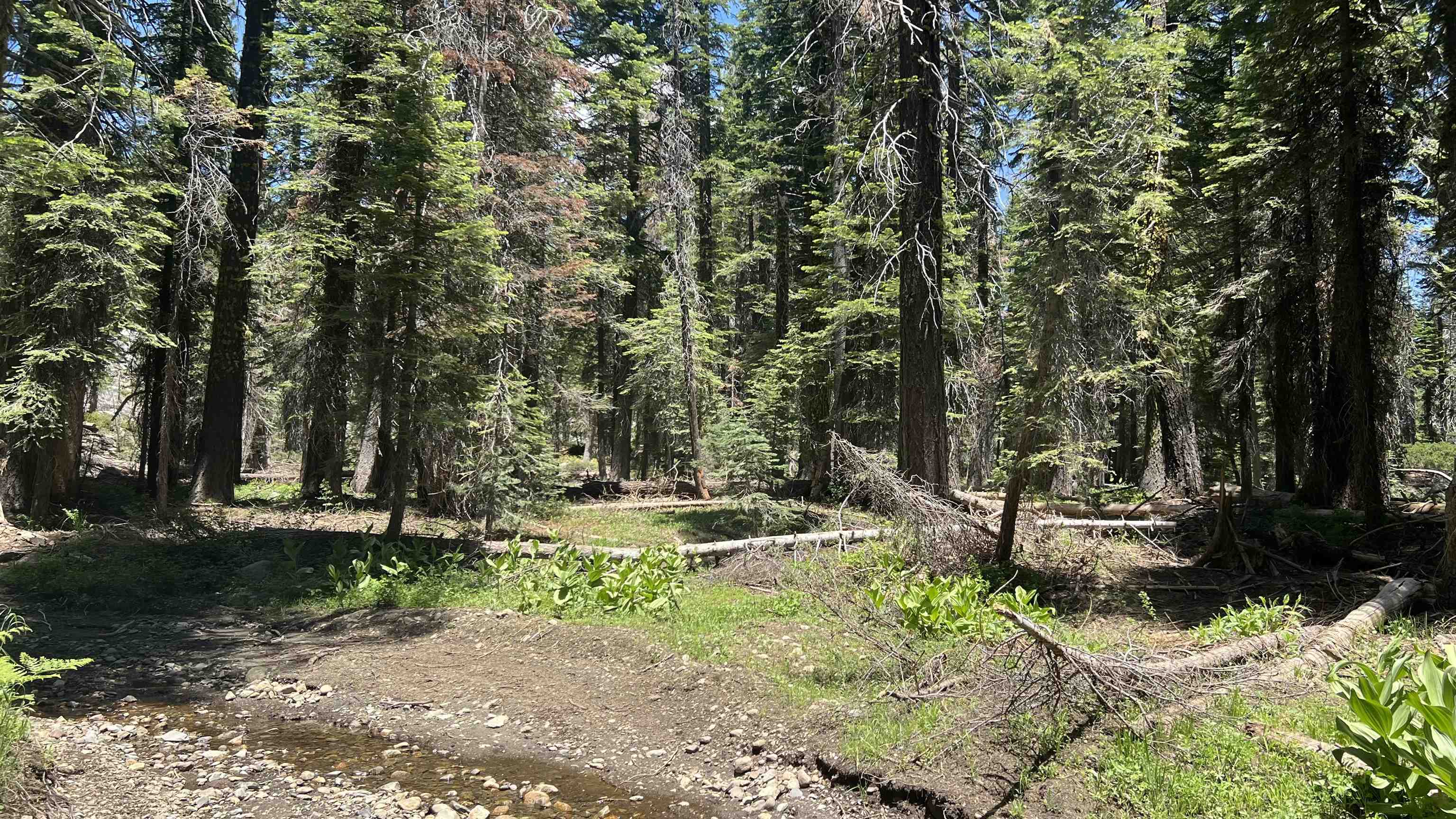 Soda Springs, California, 95728, United States, ,Land,For Sale,1998157