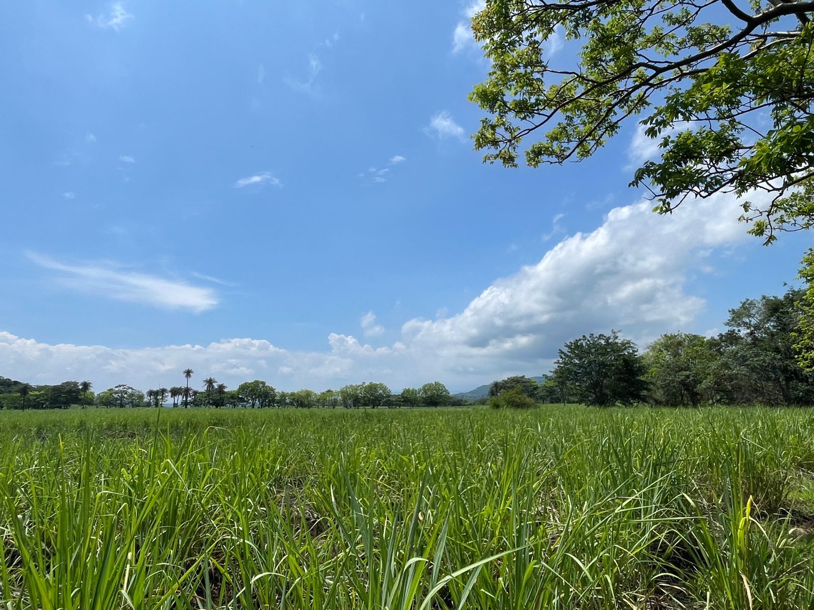 Escobal, Atenas, Atenas, Alajuela, CR, ,Land,For Sale,Escobal, Atenas,1627461