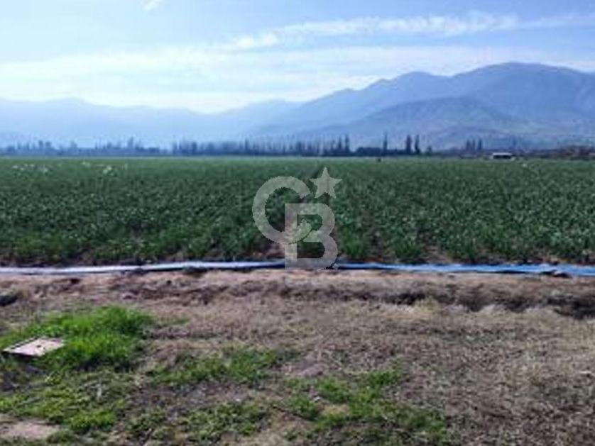 Catemu, Chile, ,Residential,For Sale,1971314