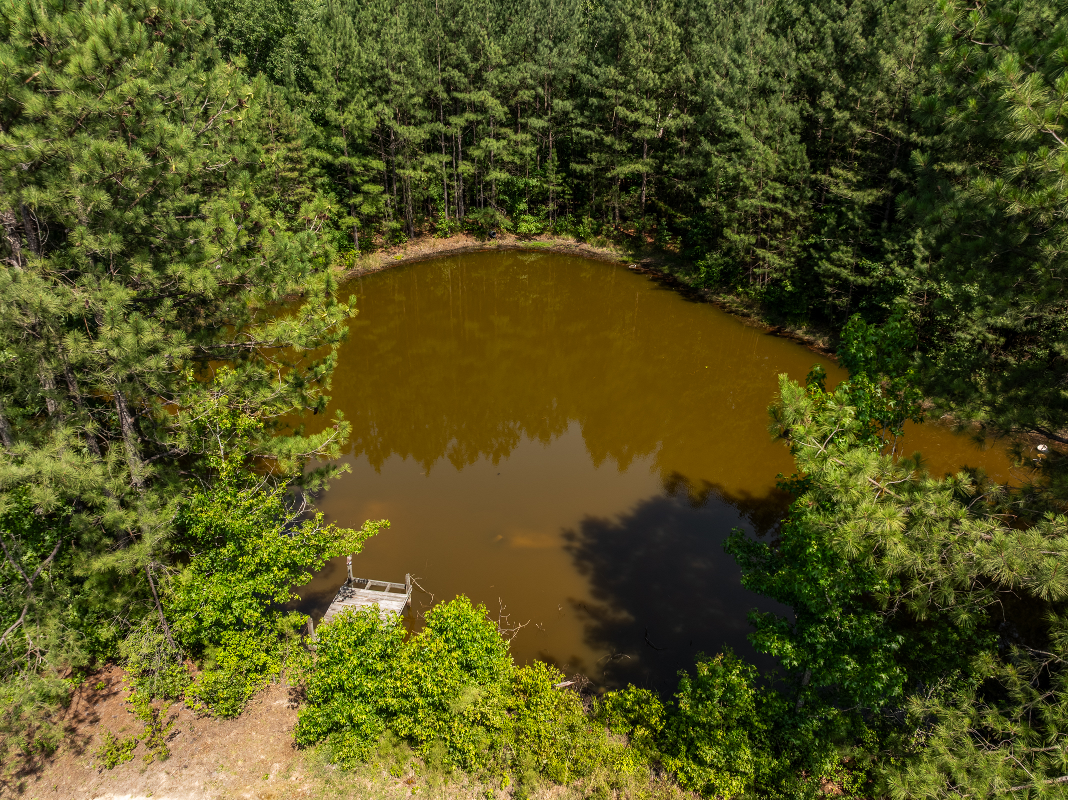  12289 Cedar Lane, Hanover, VA 23005 - 物件實景