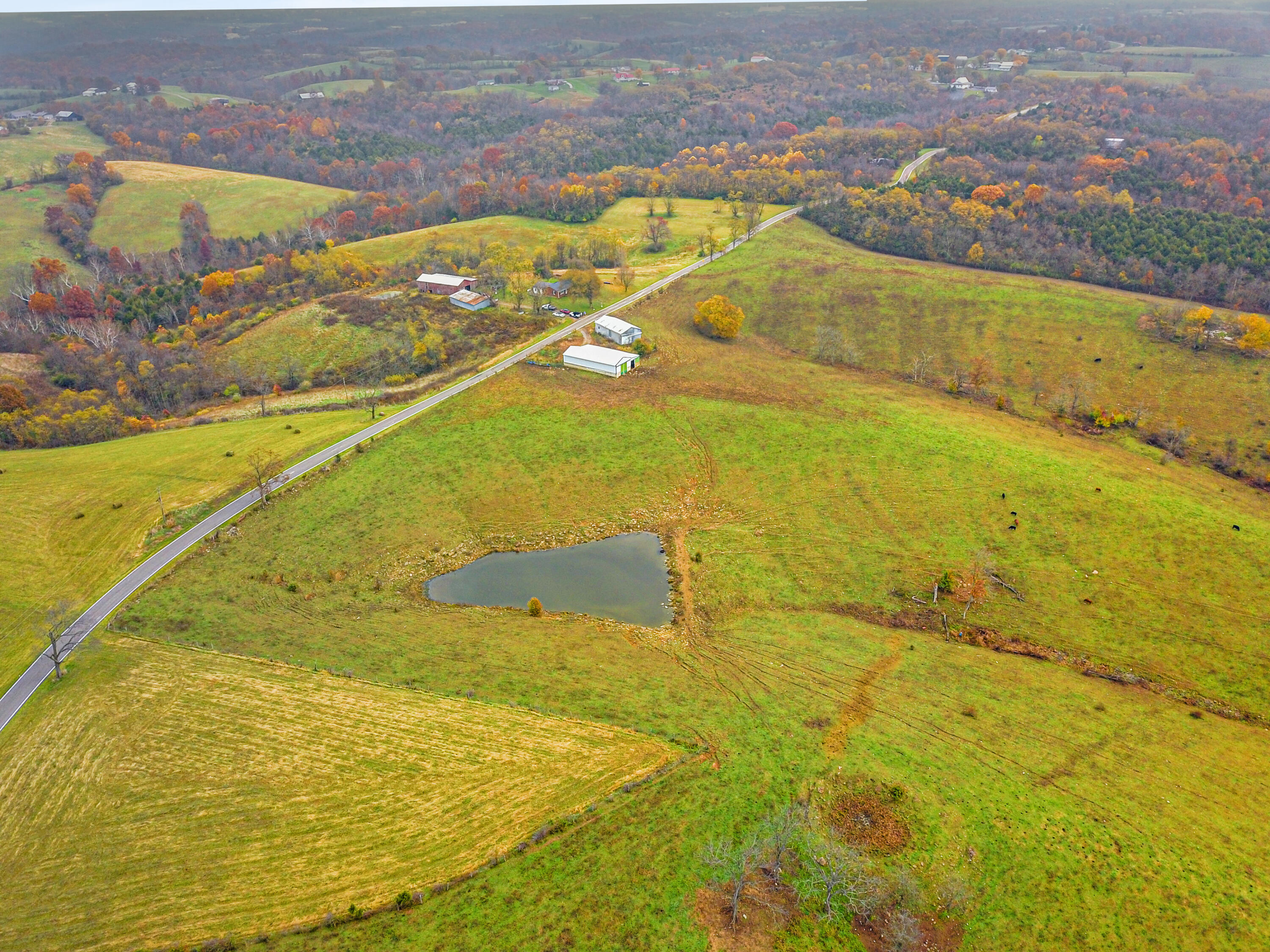 Williamstown, Kentucky, 41097, United States, ,Land,For Sale,1995668