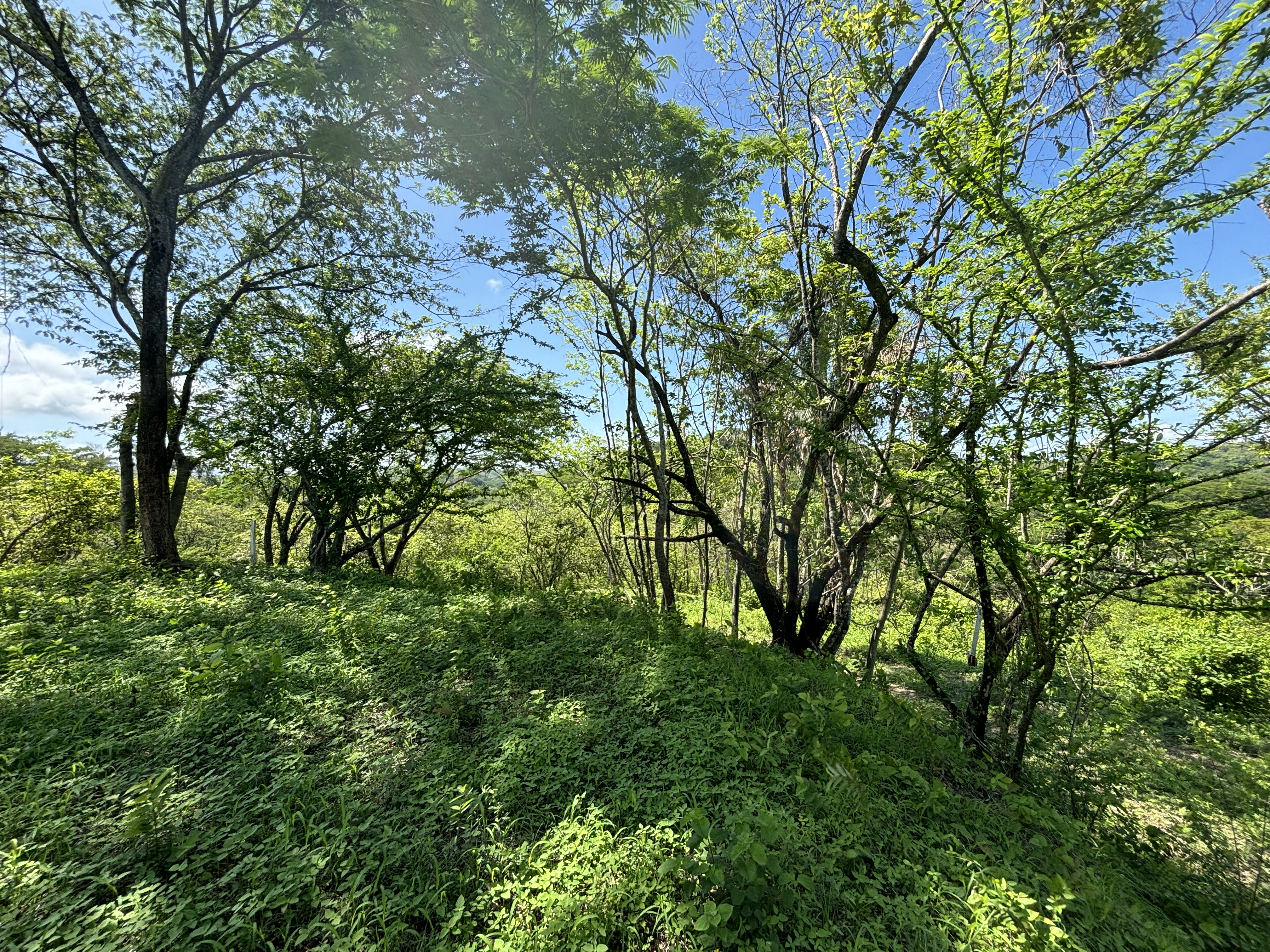 Nosara, Guanacaste, CR, ,Land,For Sale,1669008