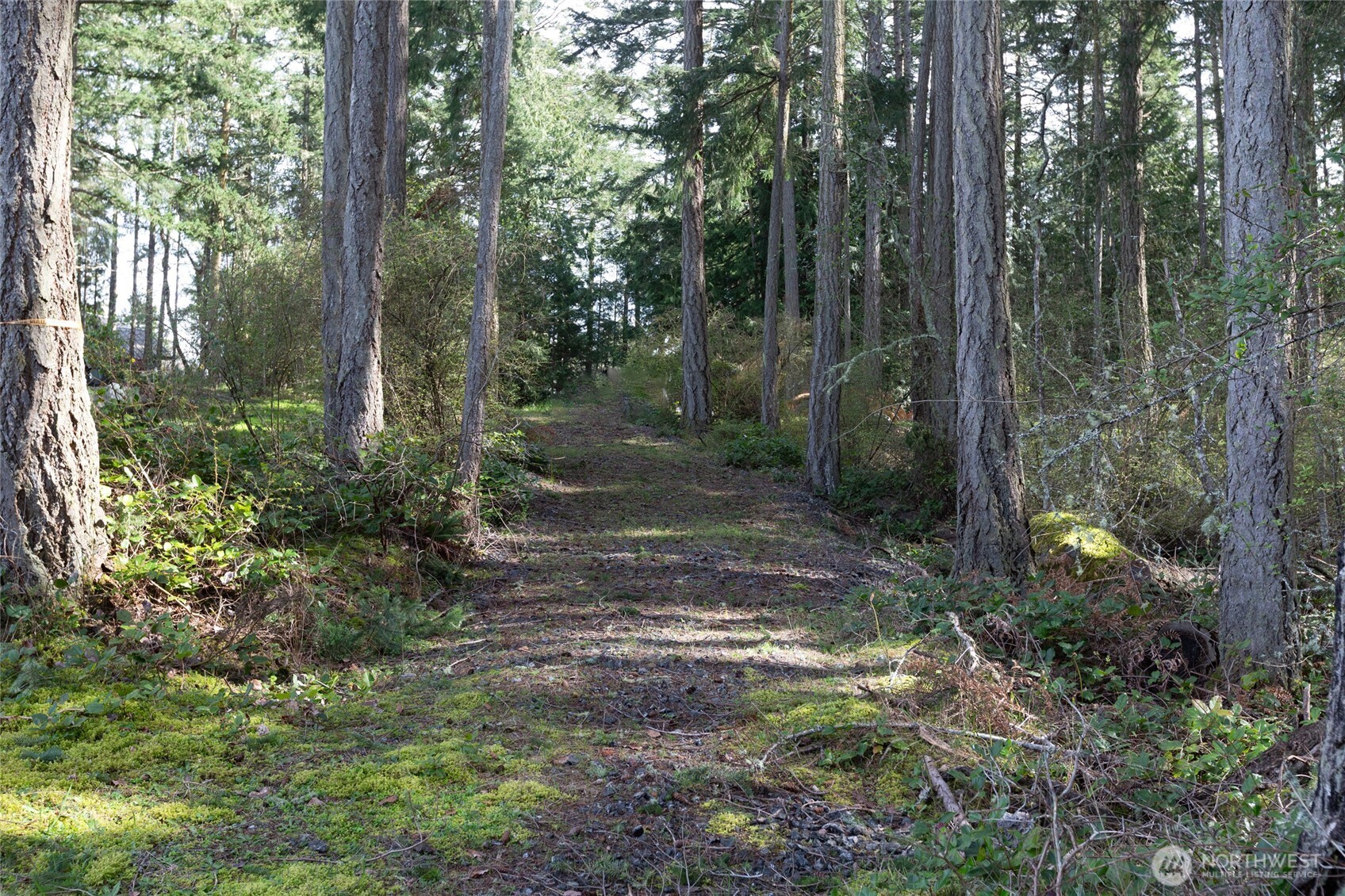 Friday Harbor, Washington, 98250, United States, ,Land,For Sale,1796697