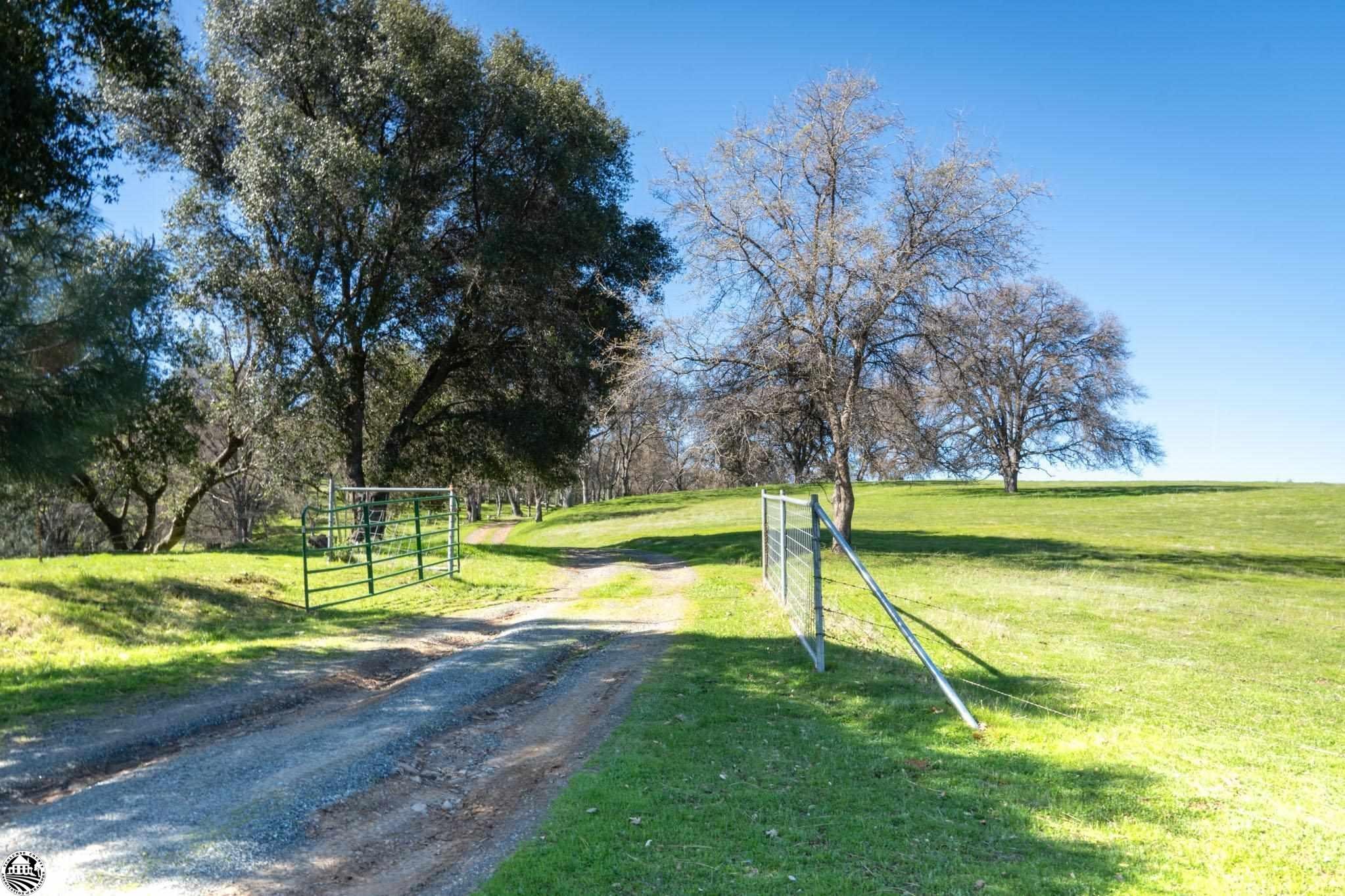 16551 Wards Ferry Rd, Big Oak Flat, California, 95305, United States, ,Land,For Sale,16551 Wards Ferry Rd,1554958
