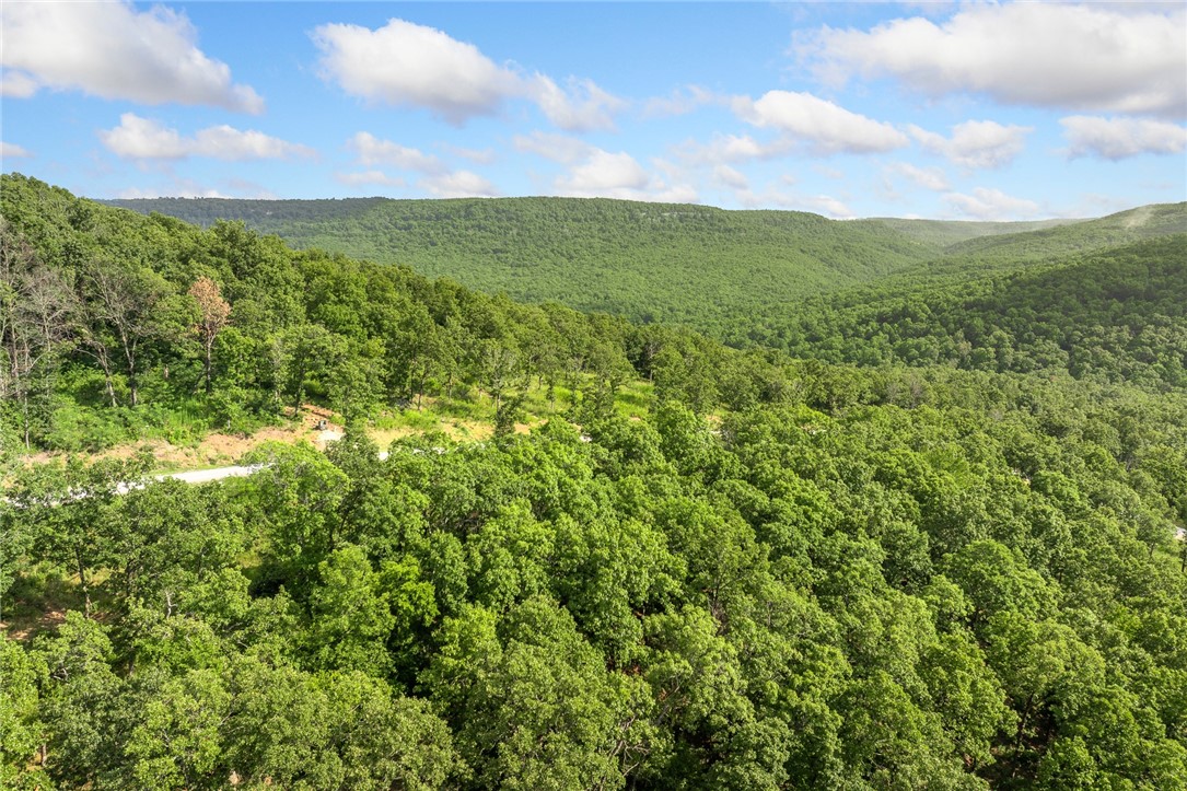 Harrison, Arkansas, 72601, United States, ,Land,For Sale,1903460