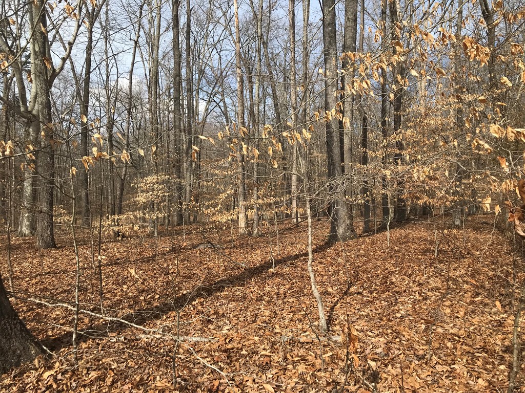 White Pine, Tennessee, 37890, United States, ,Residential,For Sale,1887225