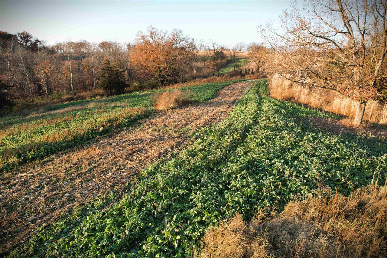 Muscoda, Wisconsin, 53573, United States, 3 Bedrooms Bedrooms, ,3 BathroomsBathrooms,Residential,For Sale,1990387