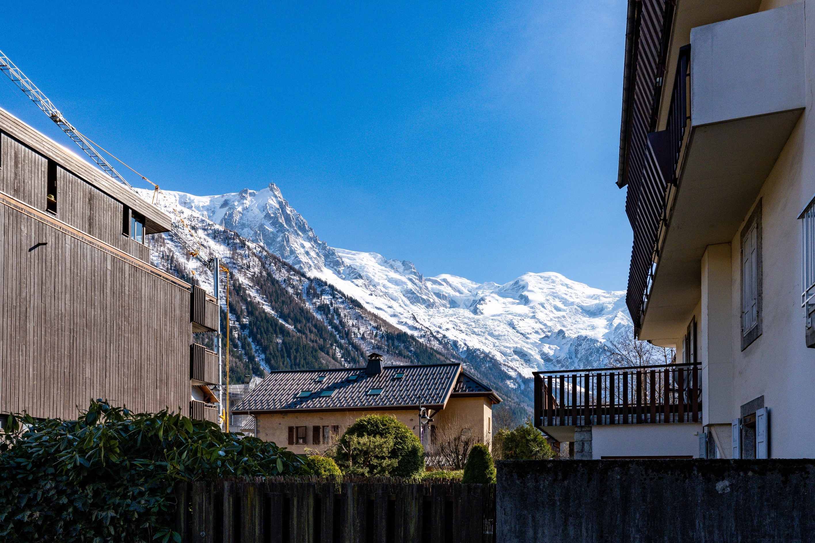  EXCLUSIVITY – APARTMENT CEDAR - 物件實景