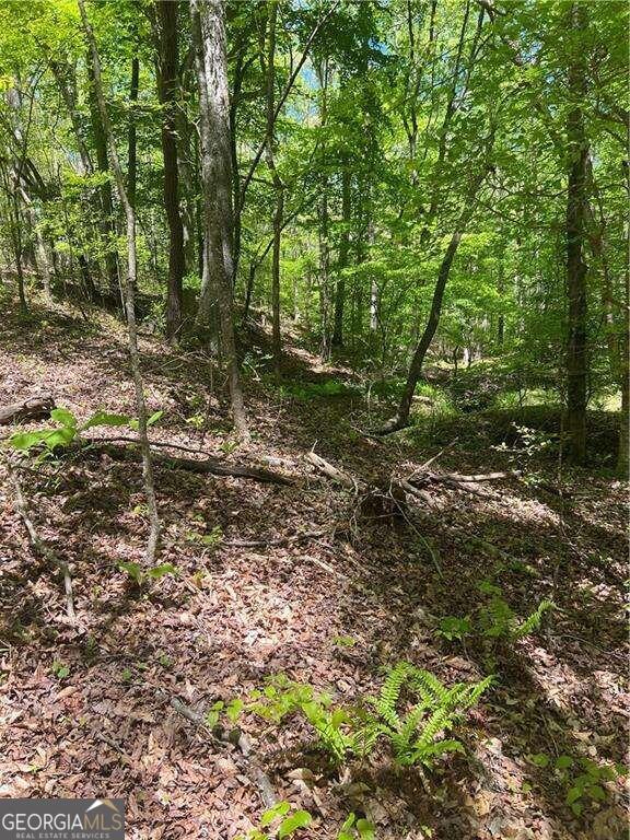Waleska, Georgia, 30183, United States, ,Land,For Sale,1929807