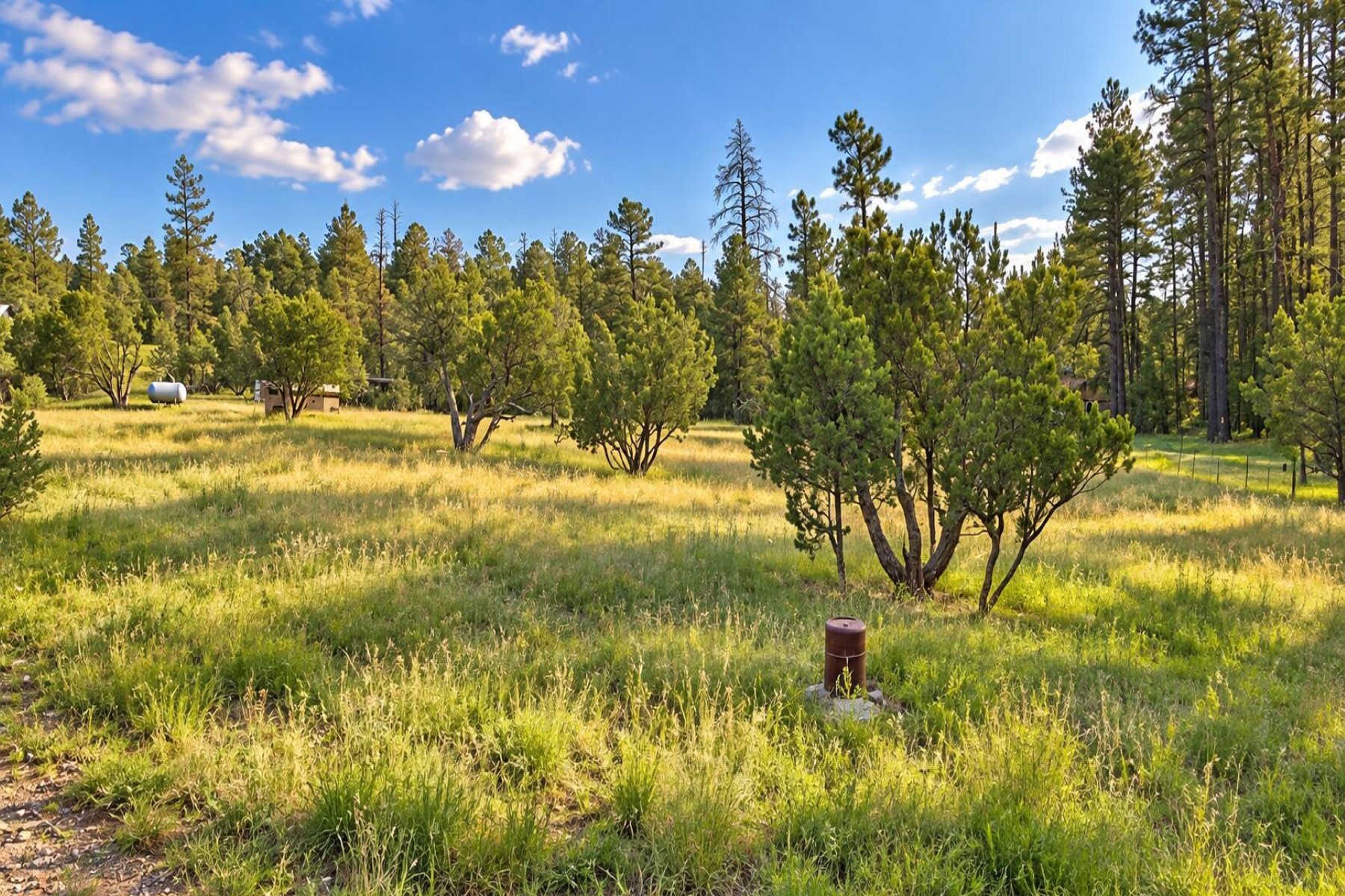  1895 Aspen Lane¦Heber, AZ - 物件實景