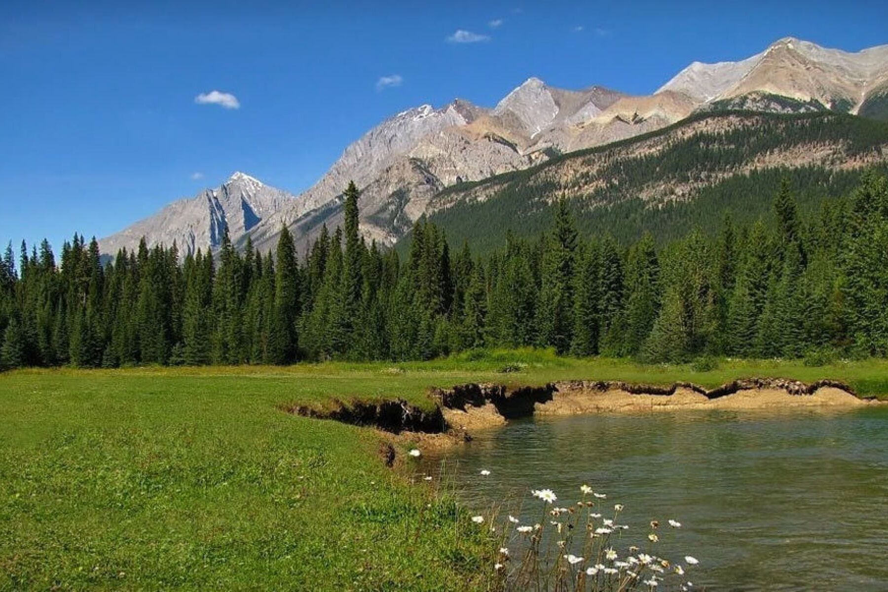  Beaverfoot Lodge - 物件實景