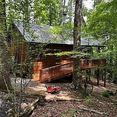 Pine Tree Dr, Blue Ridge, GA 30513 #1