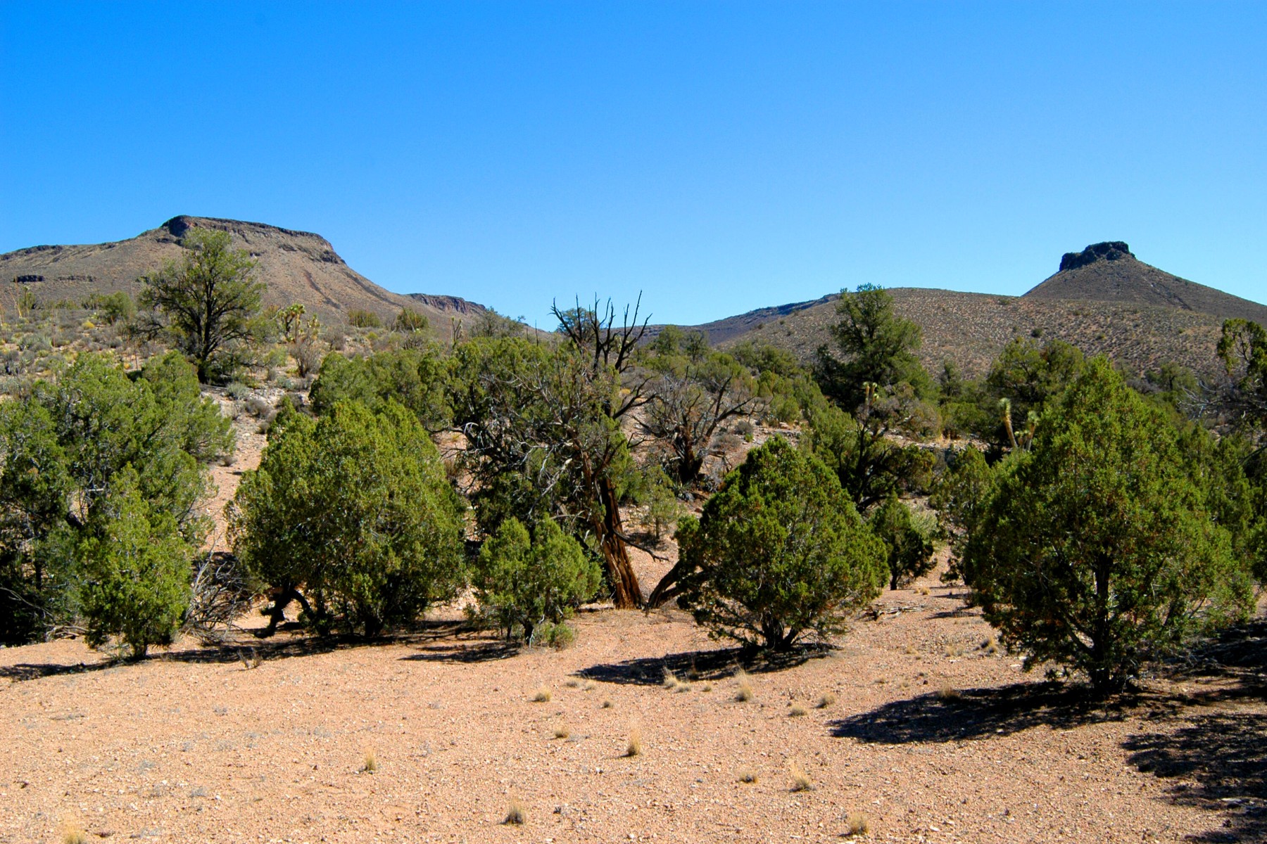  5838 E Diamond Bar Road ¦ Meadview, AZ - 物件實景