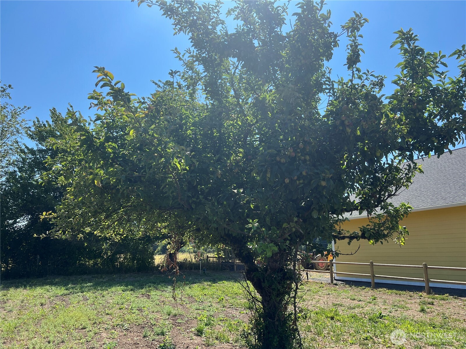 Glenoma, Washington, 98336, United States, 3 Bedrooms Bedrooms, ,1 BathroomBathrooms,Residential,For Sale,1981079