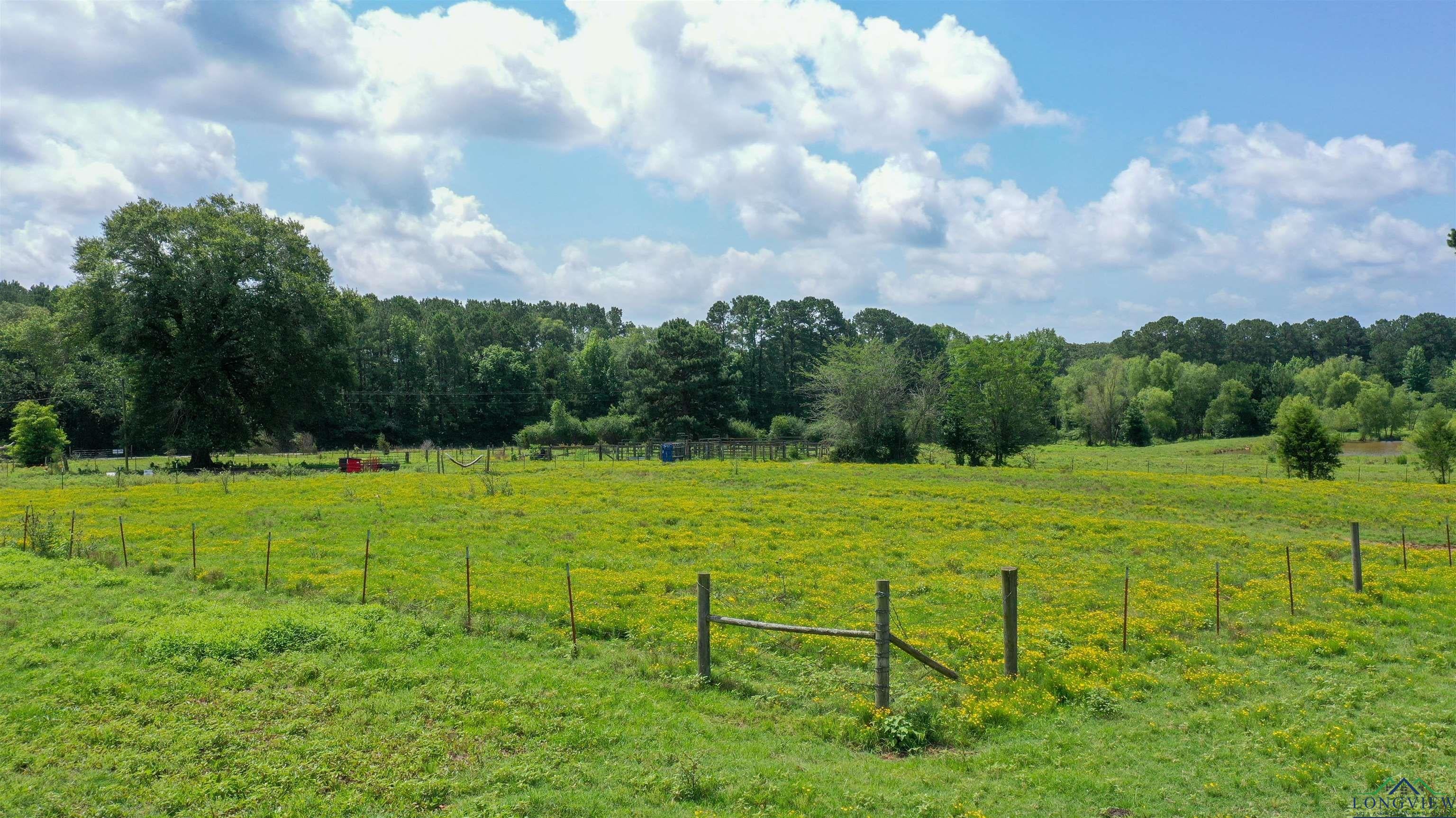 Linden, Texas, 75563, United States, ,Residential,For Sale,1809519