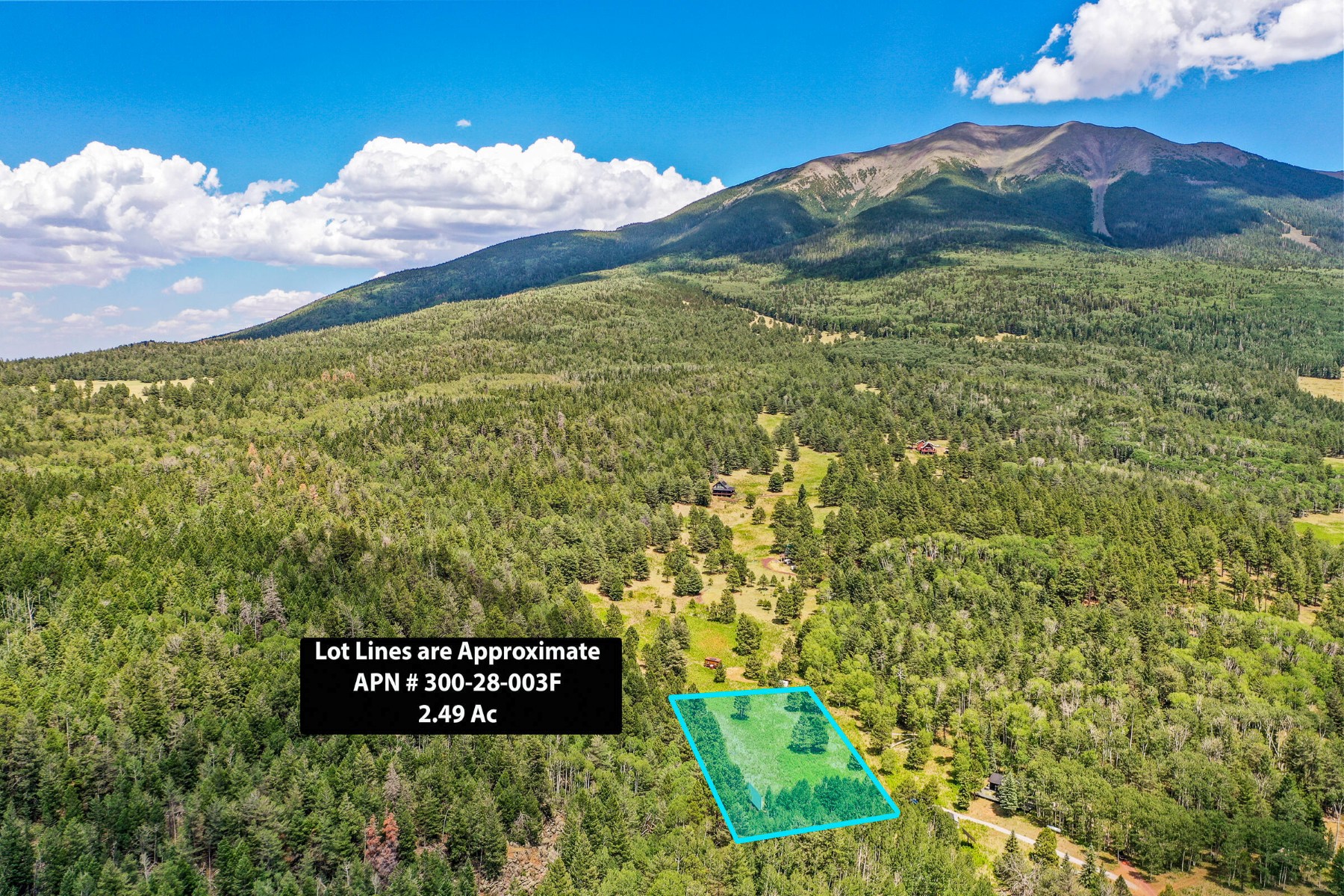  17787 N Forest Service 9004t Road ¦ Flagstaff, AZ - 物件實景