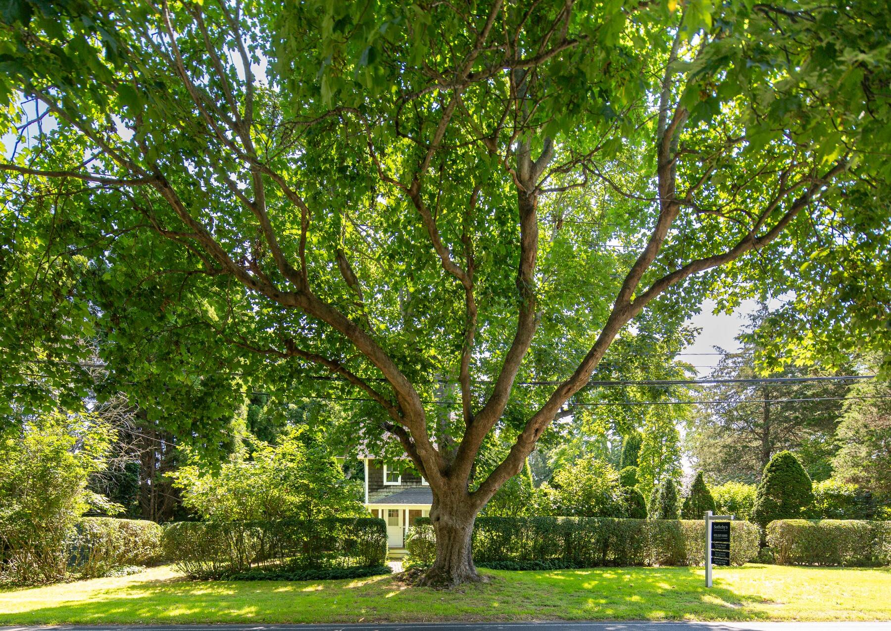  WAINSCOTT  ESTATE OPPORTUNITY - 物件實景